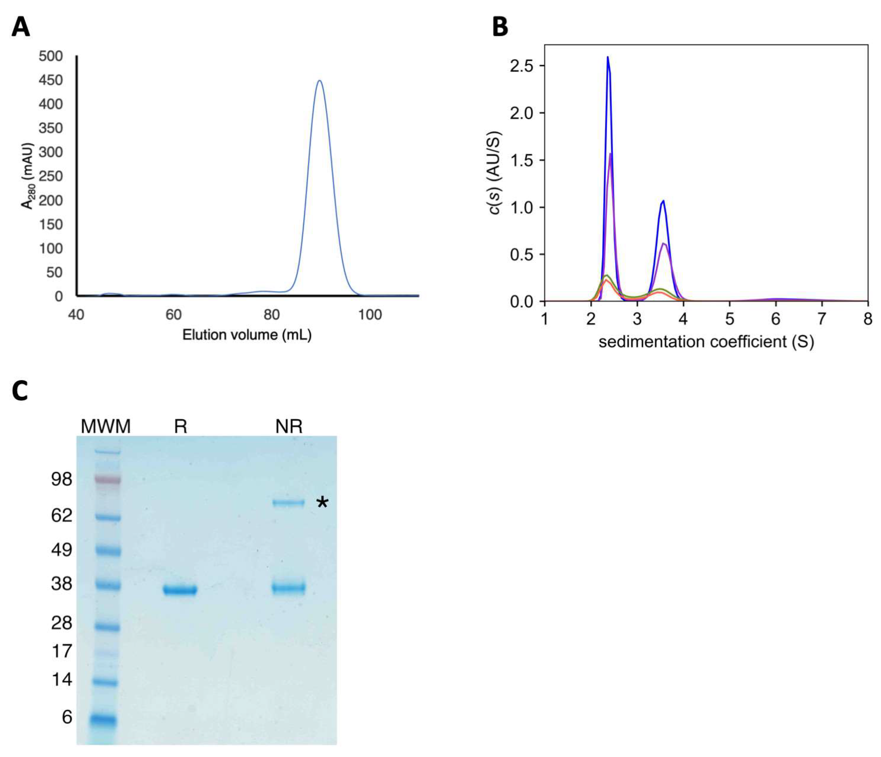 Ijms 25 07032 g002 Ijms 25 07032 g002