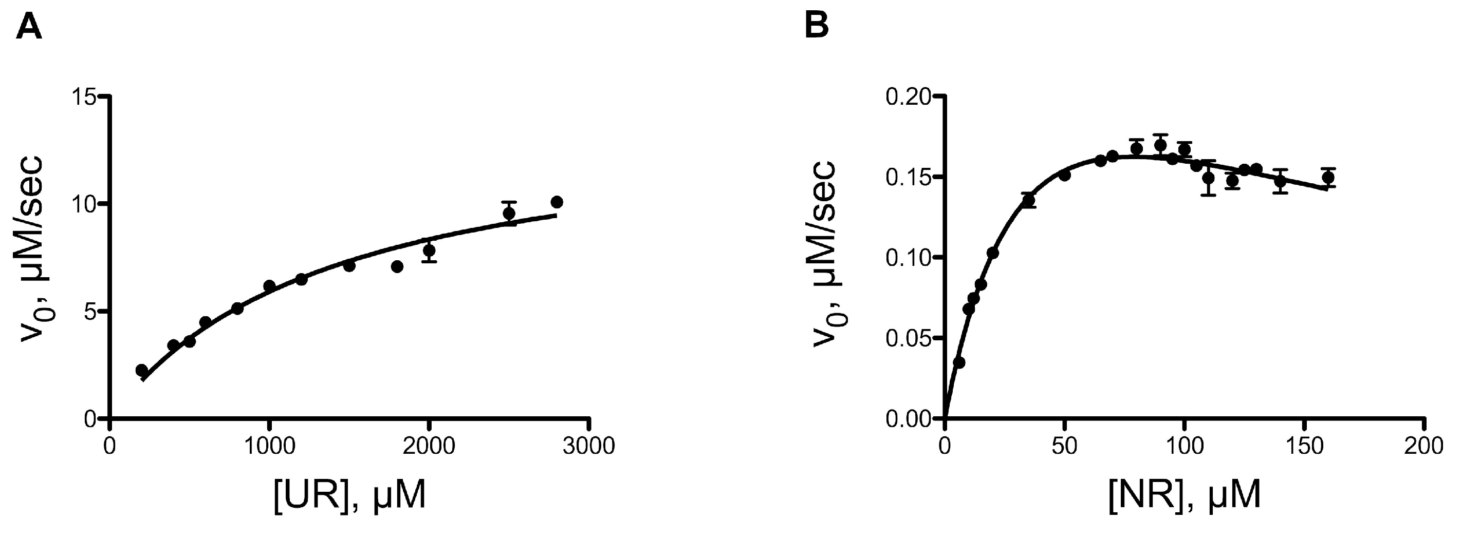 Ijms 25 07032 g003 Ijms 25 07032 g003