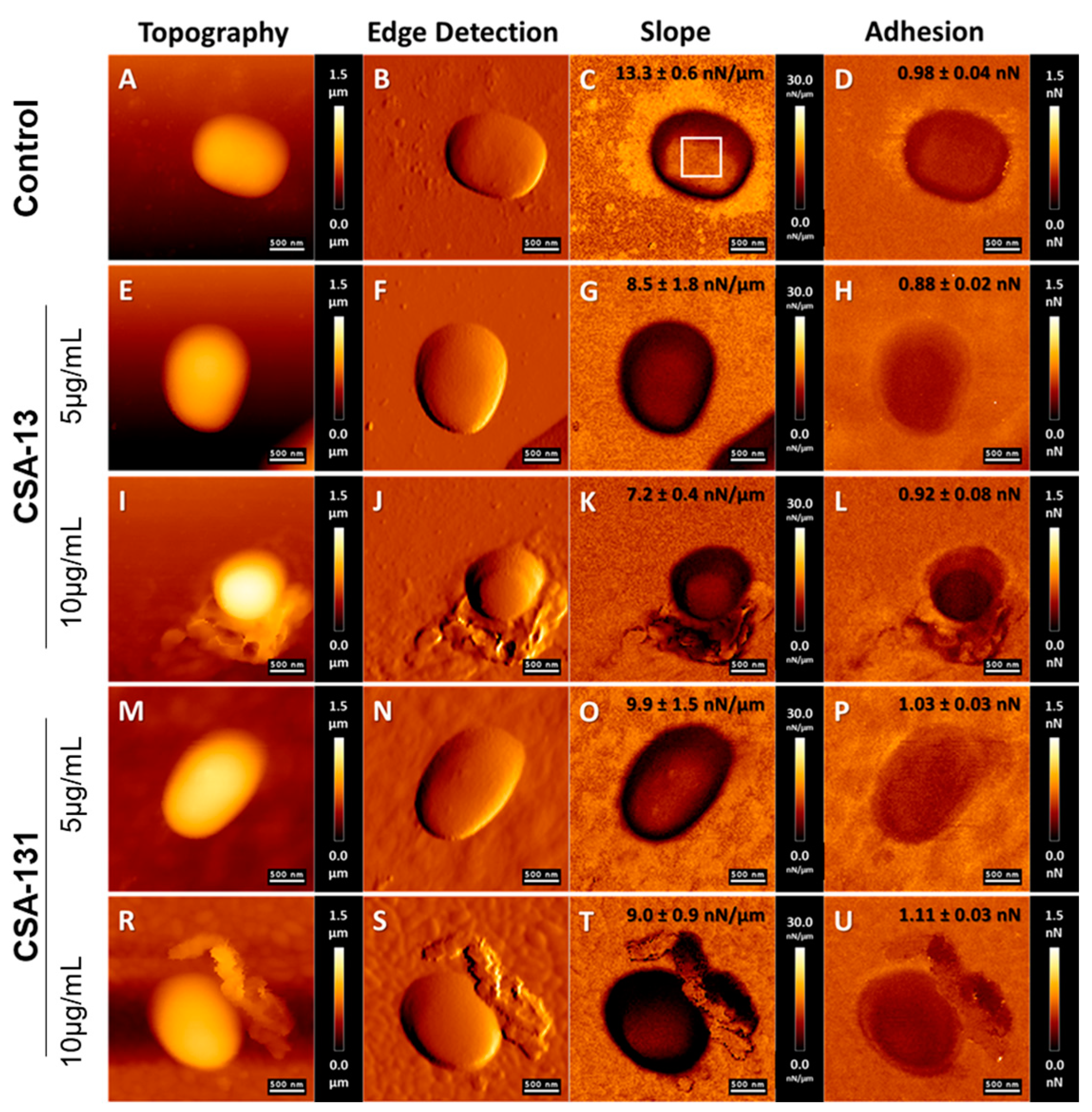 Ijms 25 07036 g004 Ijms 25 07036 g004