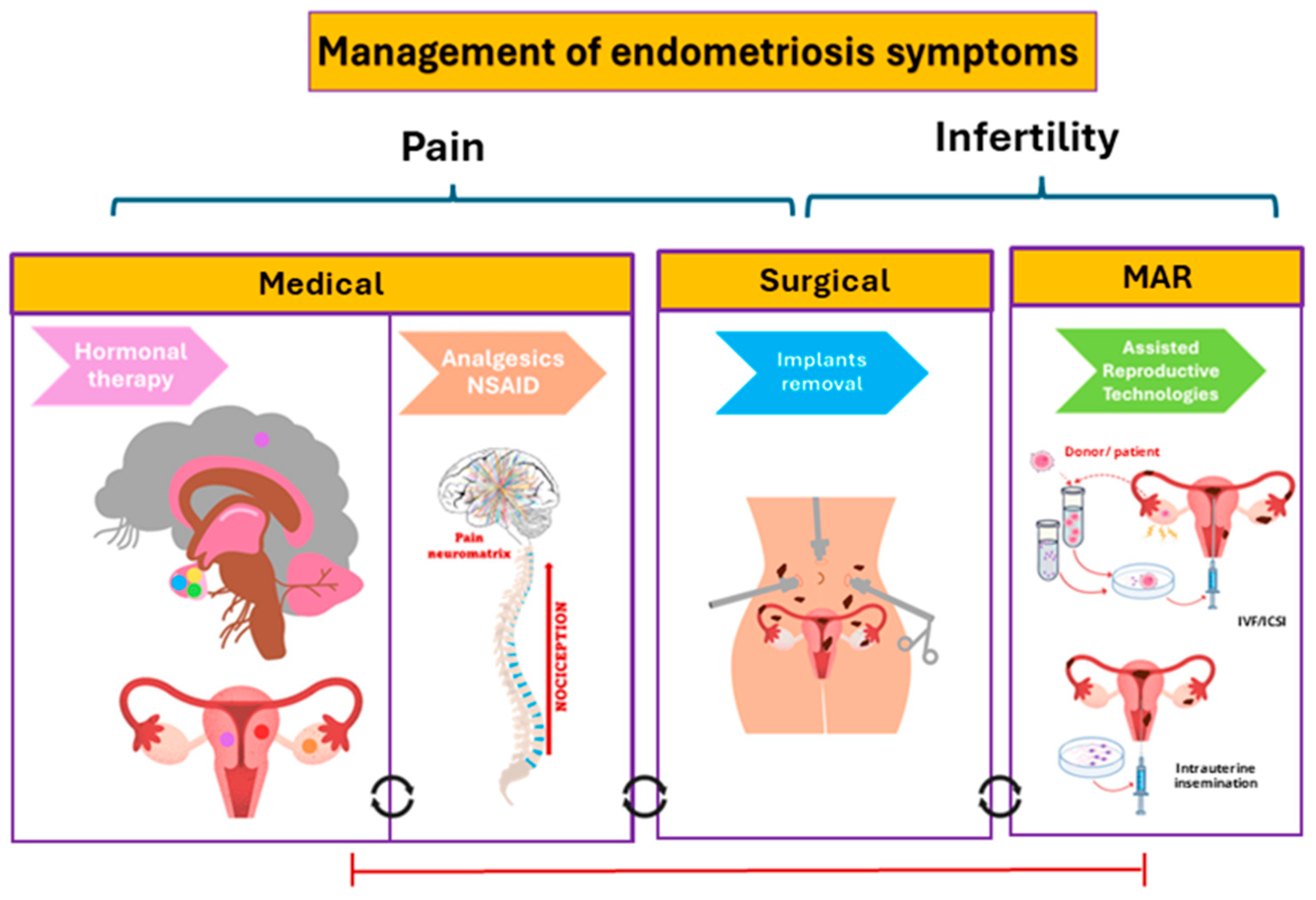 Endometriosis Pain: Relief & Management