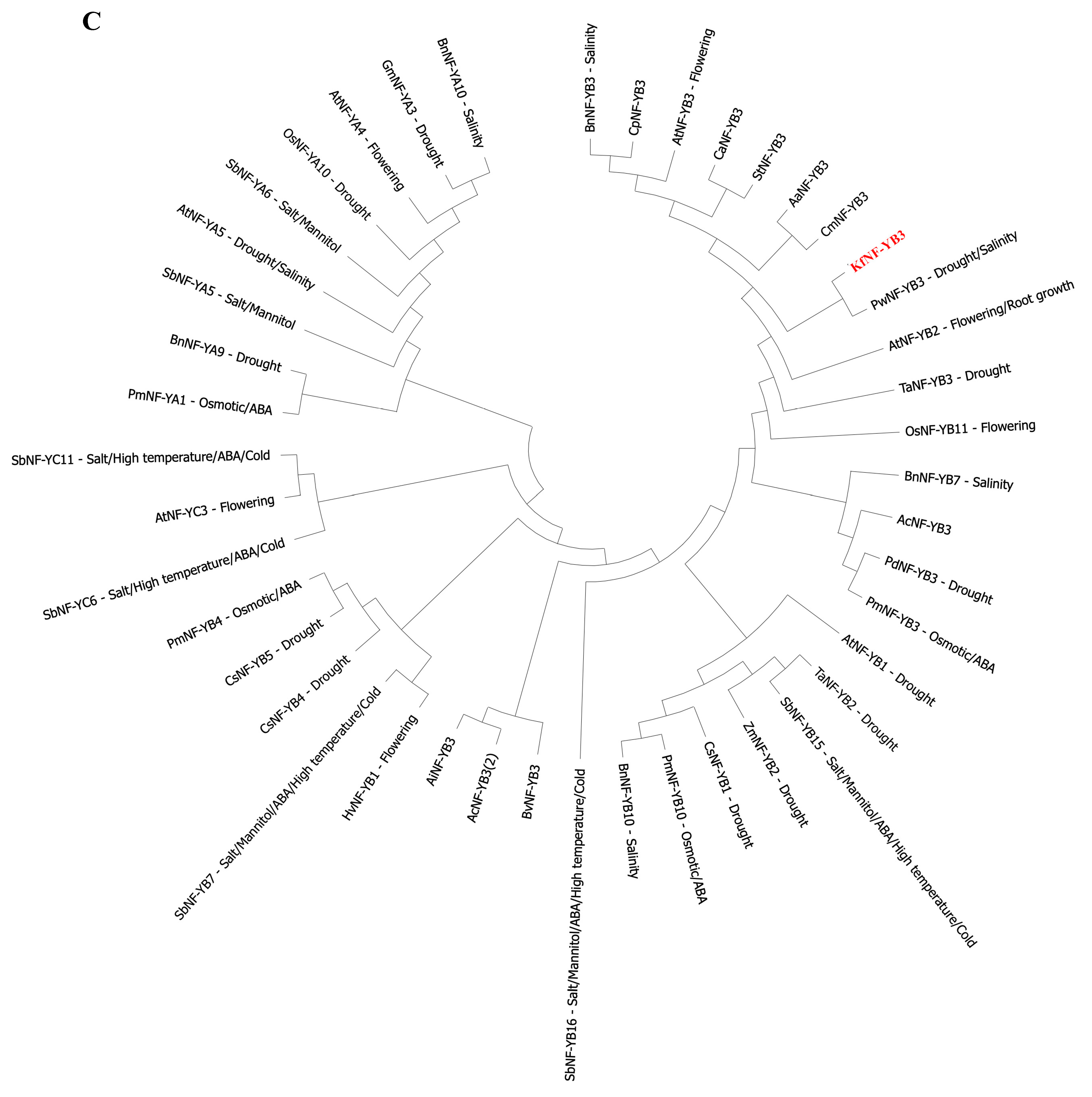 Ijms 25 07107 g001b Ijms 25 07107 g001b