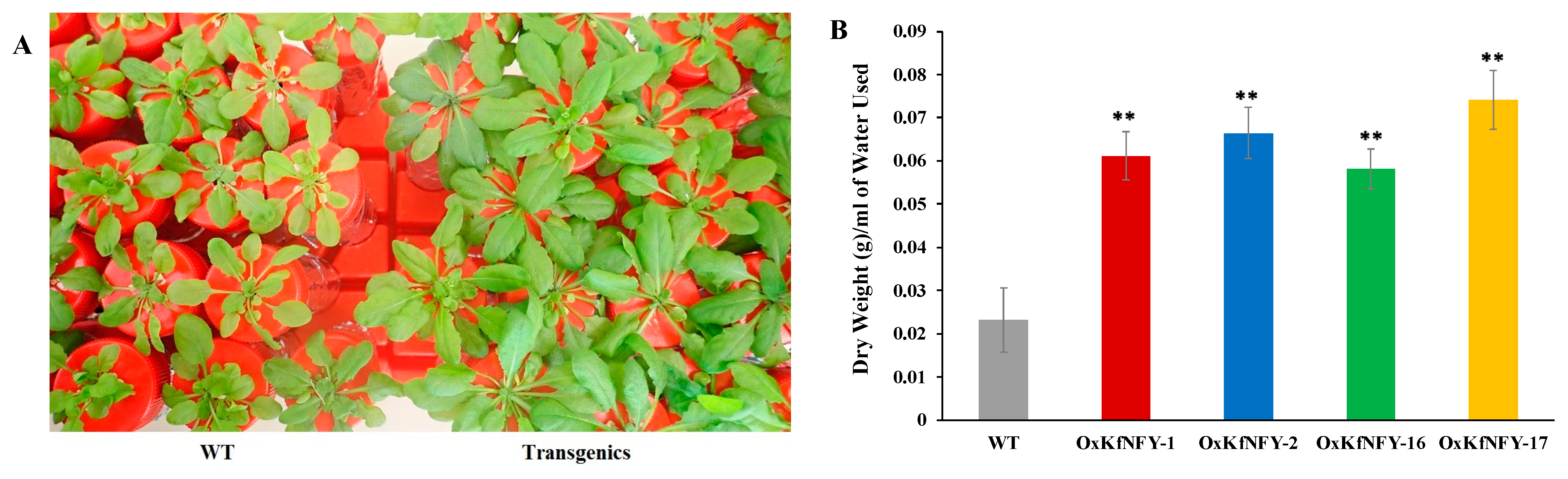 Ijms 25 07107 g004 Ijms 25 07107 g004