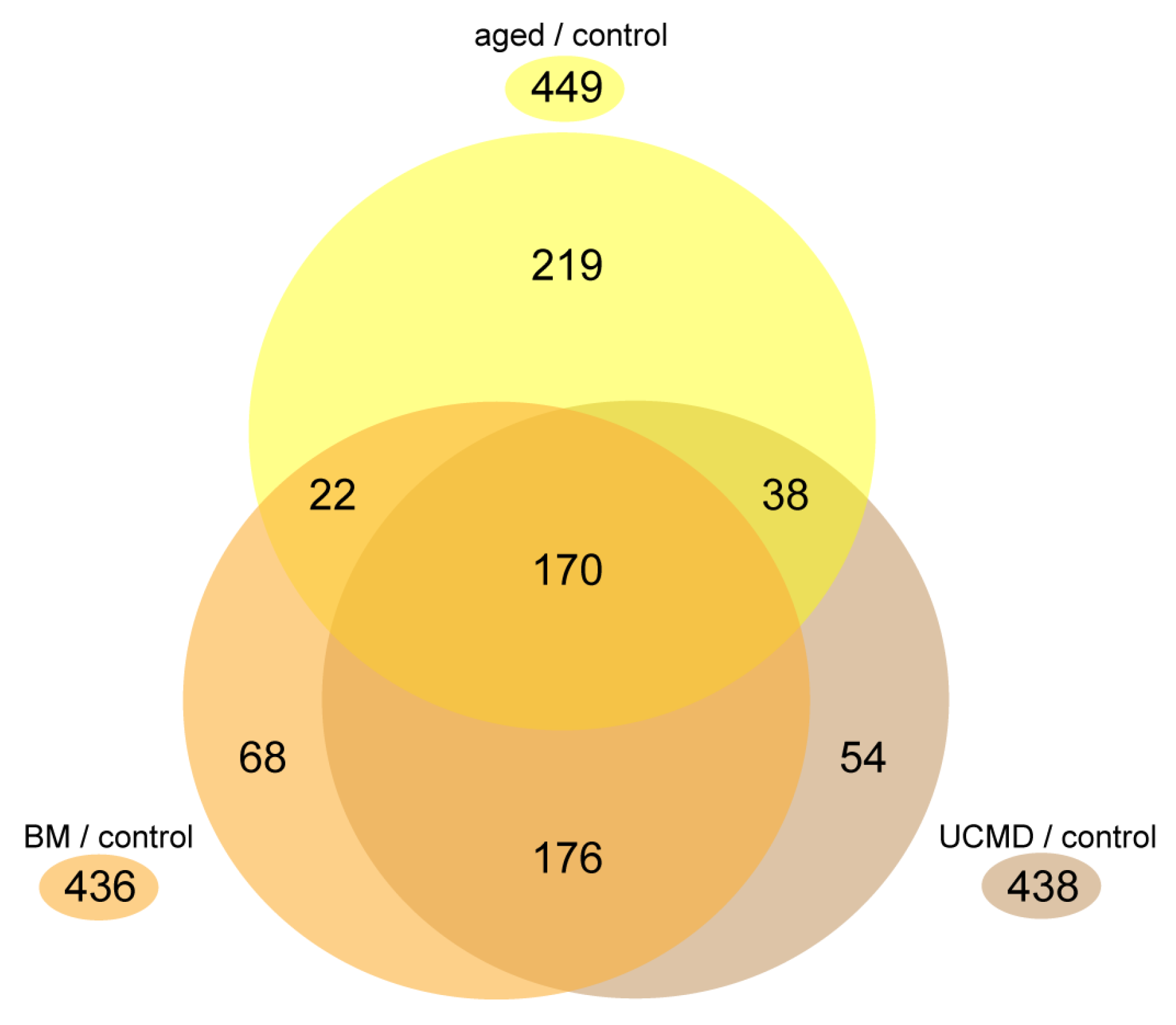 Ijms 25 07118 g001 Ijms 25 07118 g001