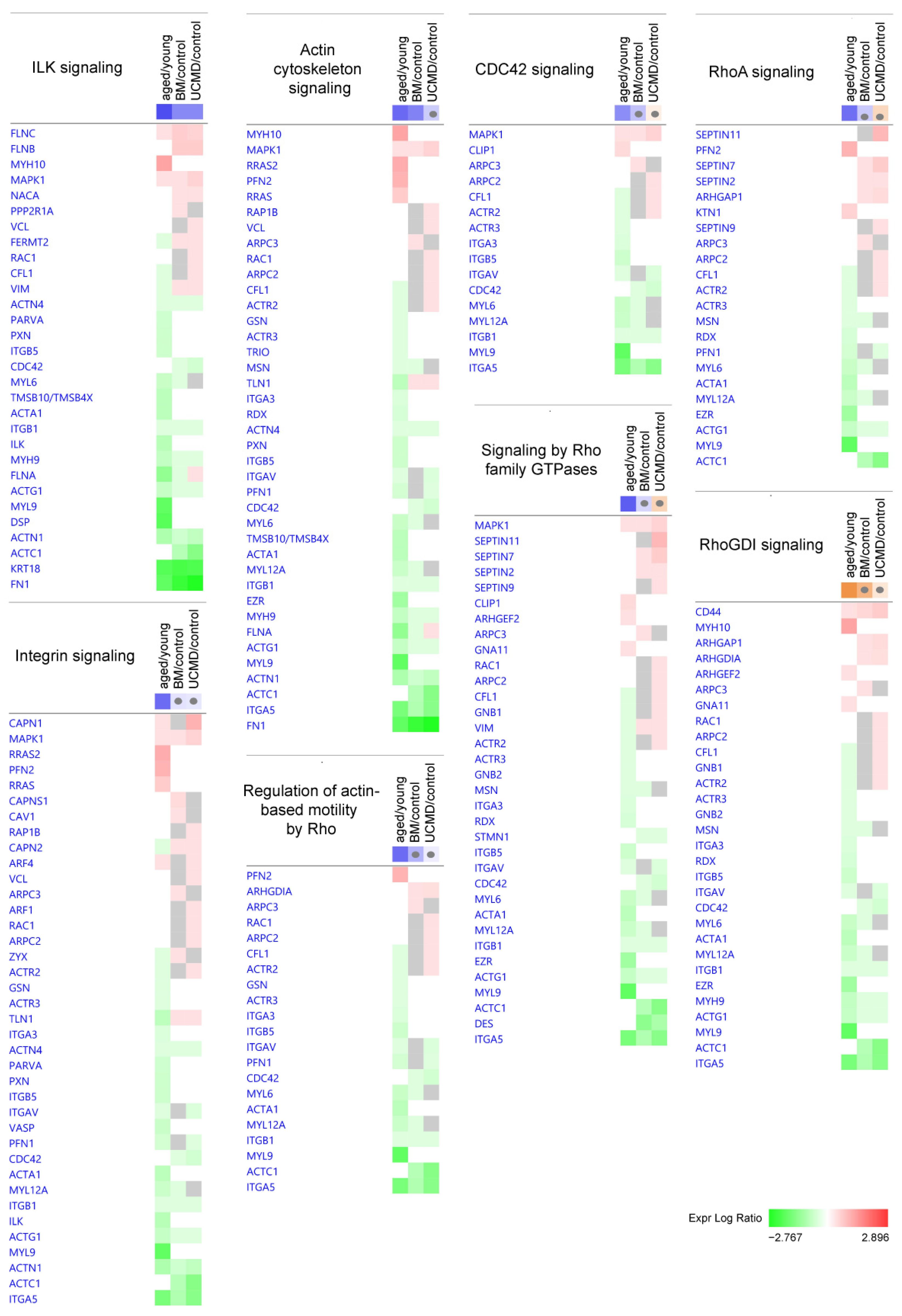 Ijms 25 07118 g003 Ijms 25 07118 g003