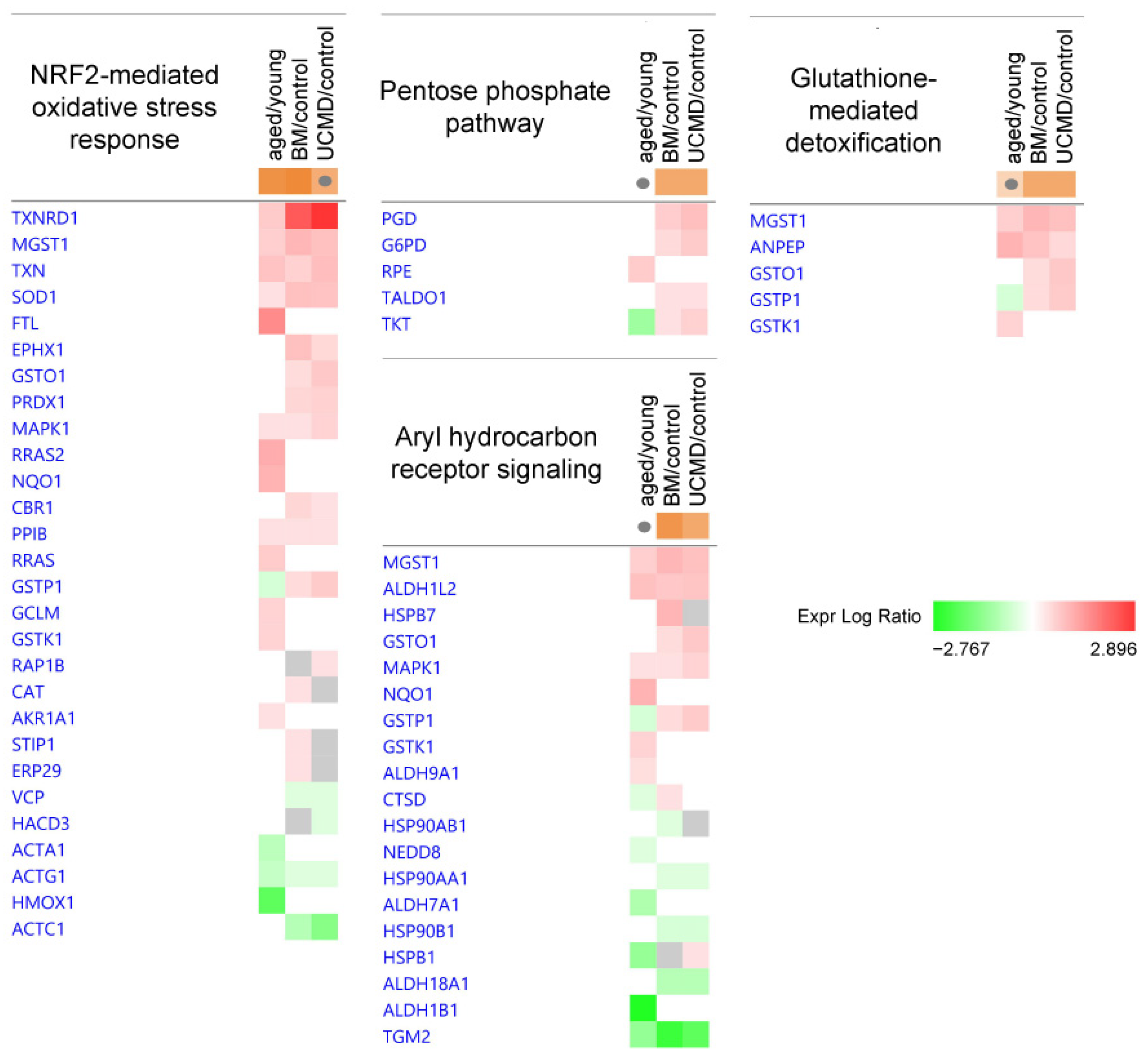 Ijms 25 07118 g004 Ijms 25 07118 g004