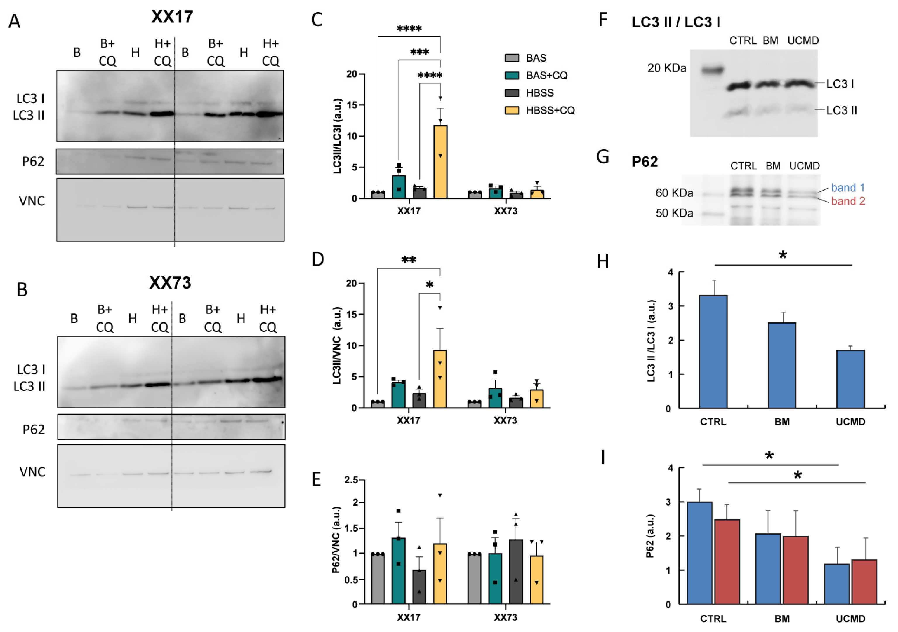 Ijms 25 07118 g006 Ijms 25 07118 g006