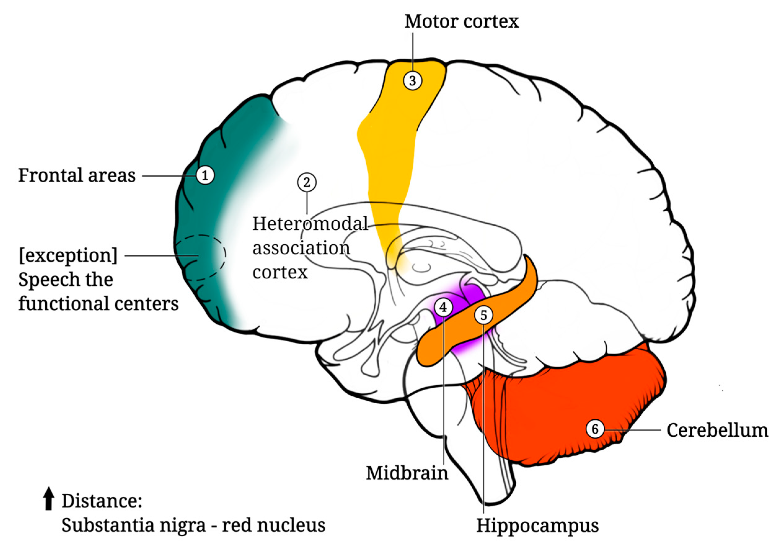 Ijms 25 07122 g005 Ijms 25 07122 g005