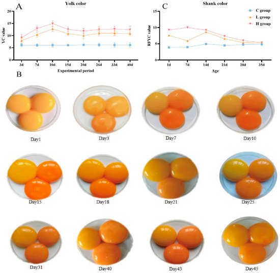 l carnitine chicken egg quality The Effects of Different Doses of Canthaxanthin in the Diet of Laying Hens on Quality, Physical Characteristics, Metabolic Mechanism, and Offspring Health prod-CTEARS