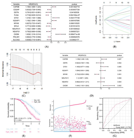 Disulfidptosis: A Novel Prognostic Criterion and Potential