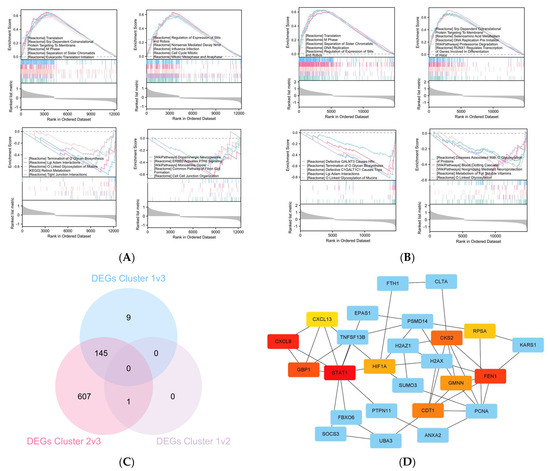 Disulfidptosis: A Novel Prognostic Criterion and Potential