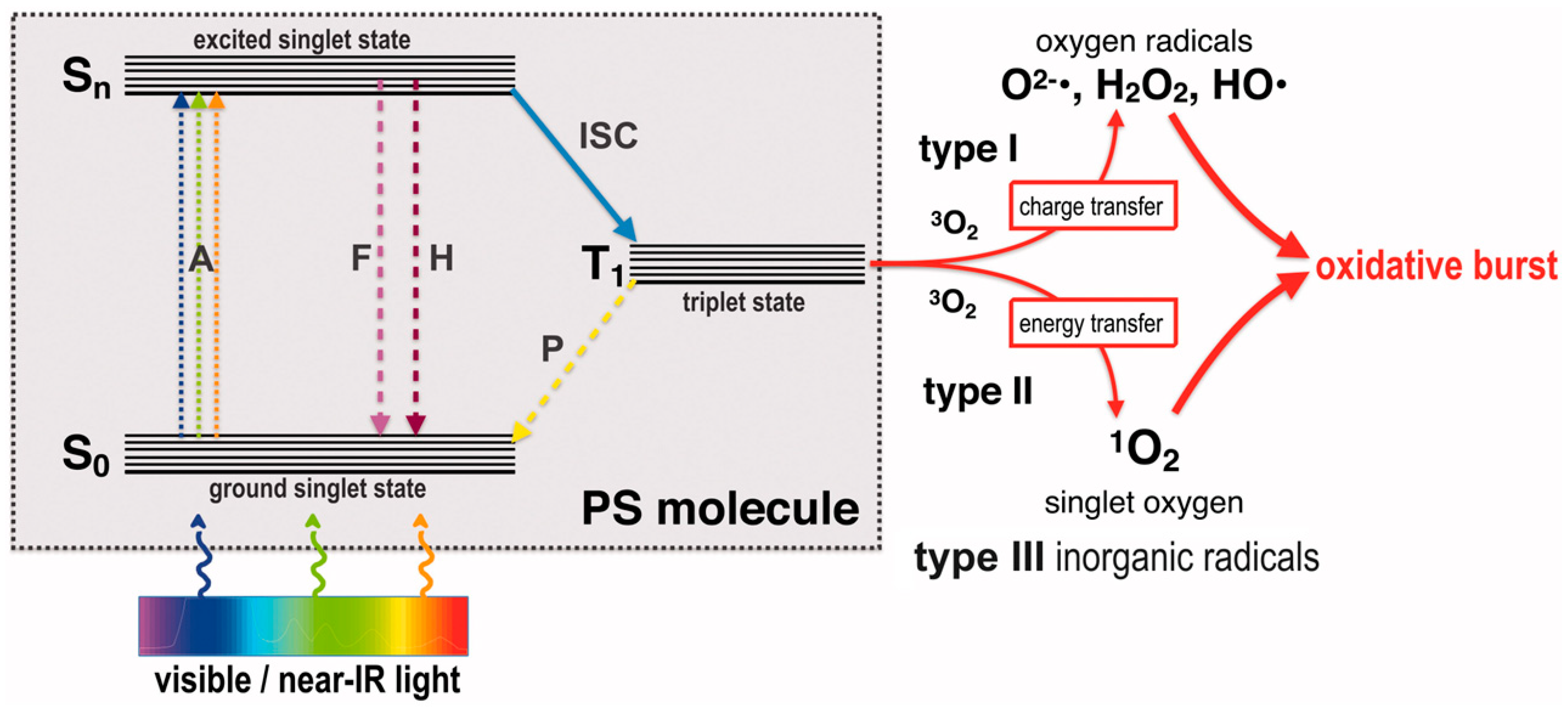 Ijms 25 07182 g003 Ijms 25 07182 g003
