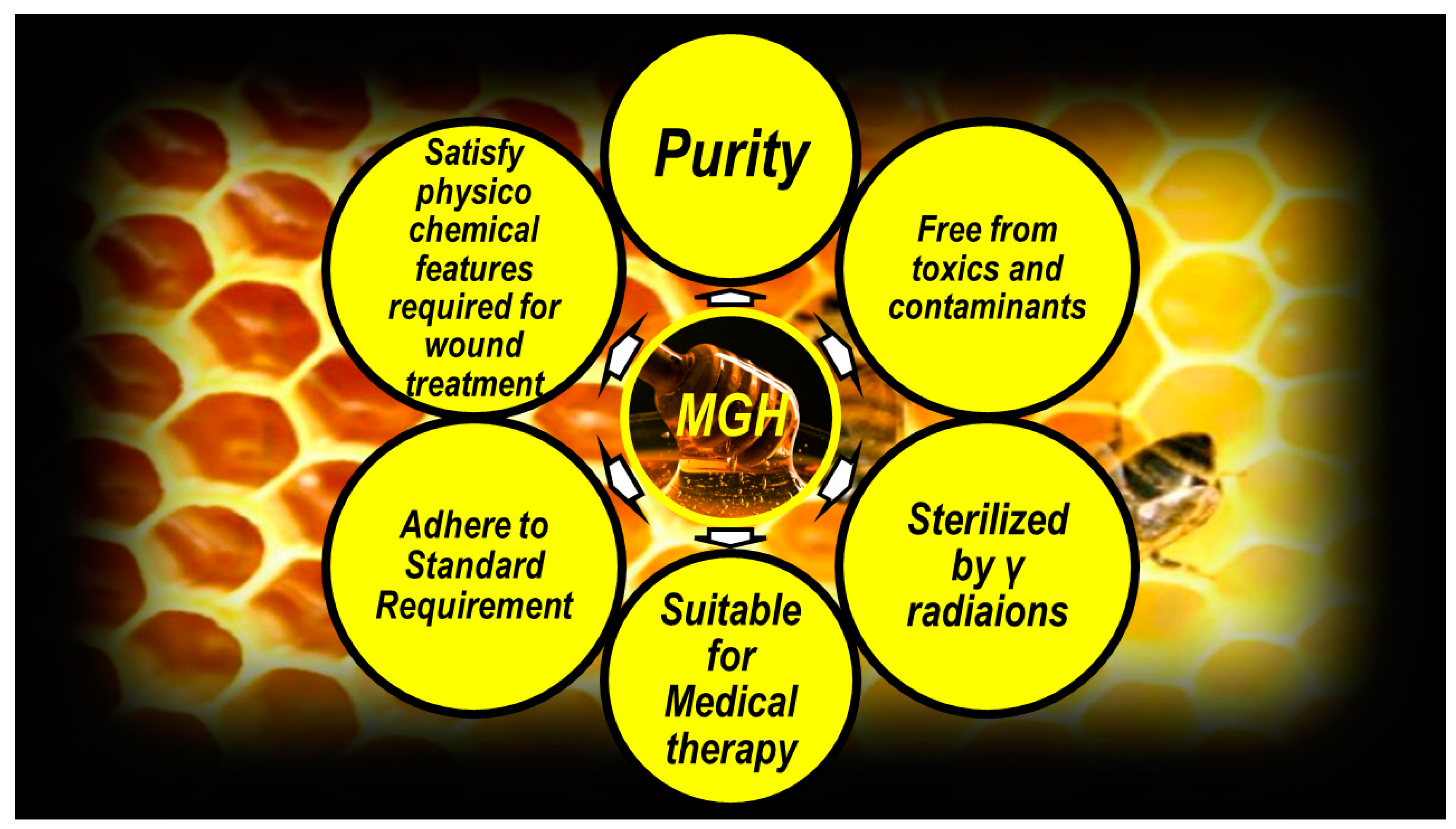 Ijms 25 07182 g004 Ijms 25 07182 g004