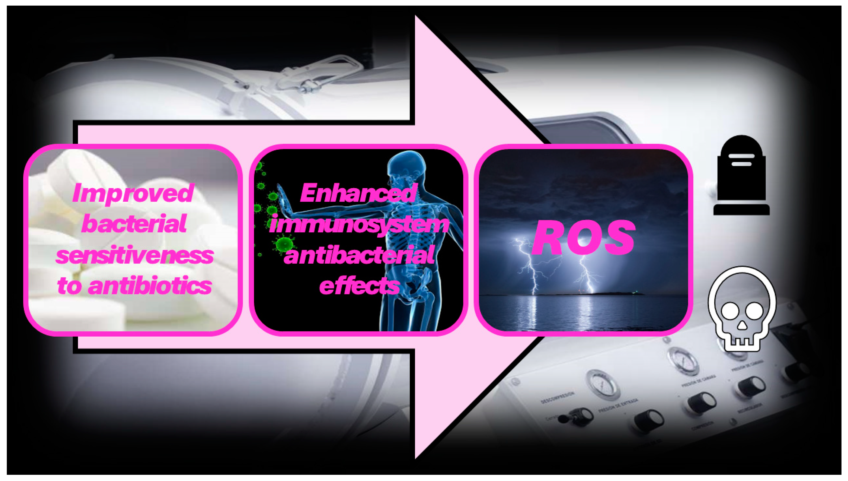 Ijms 25 07182 g006 Ijms 25 07182 g006