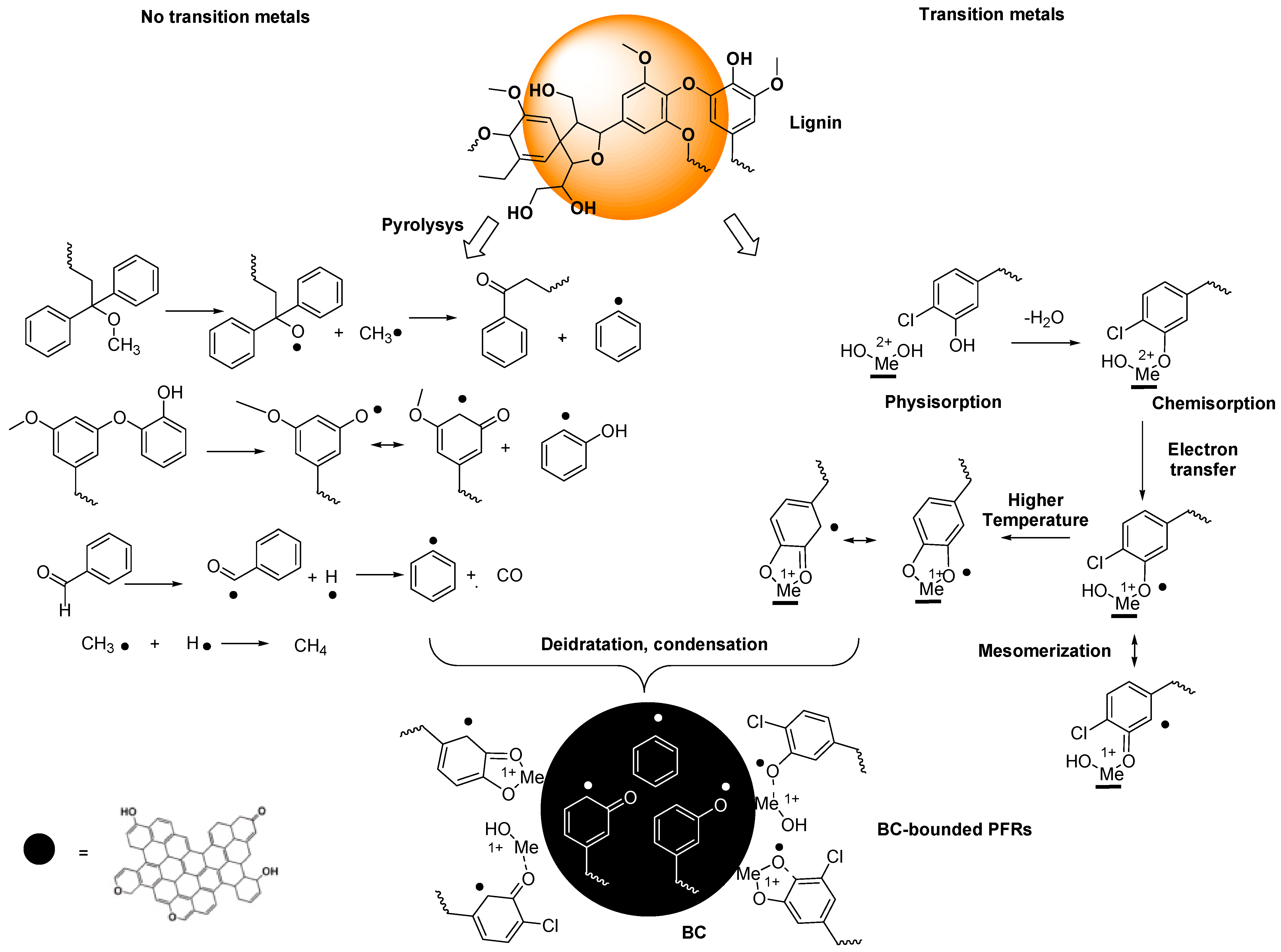 Ijms 25 07182 sch001 Ijms 25 07182 sch001