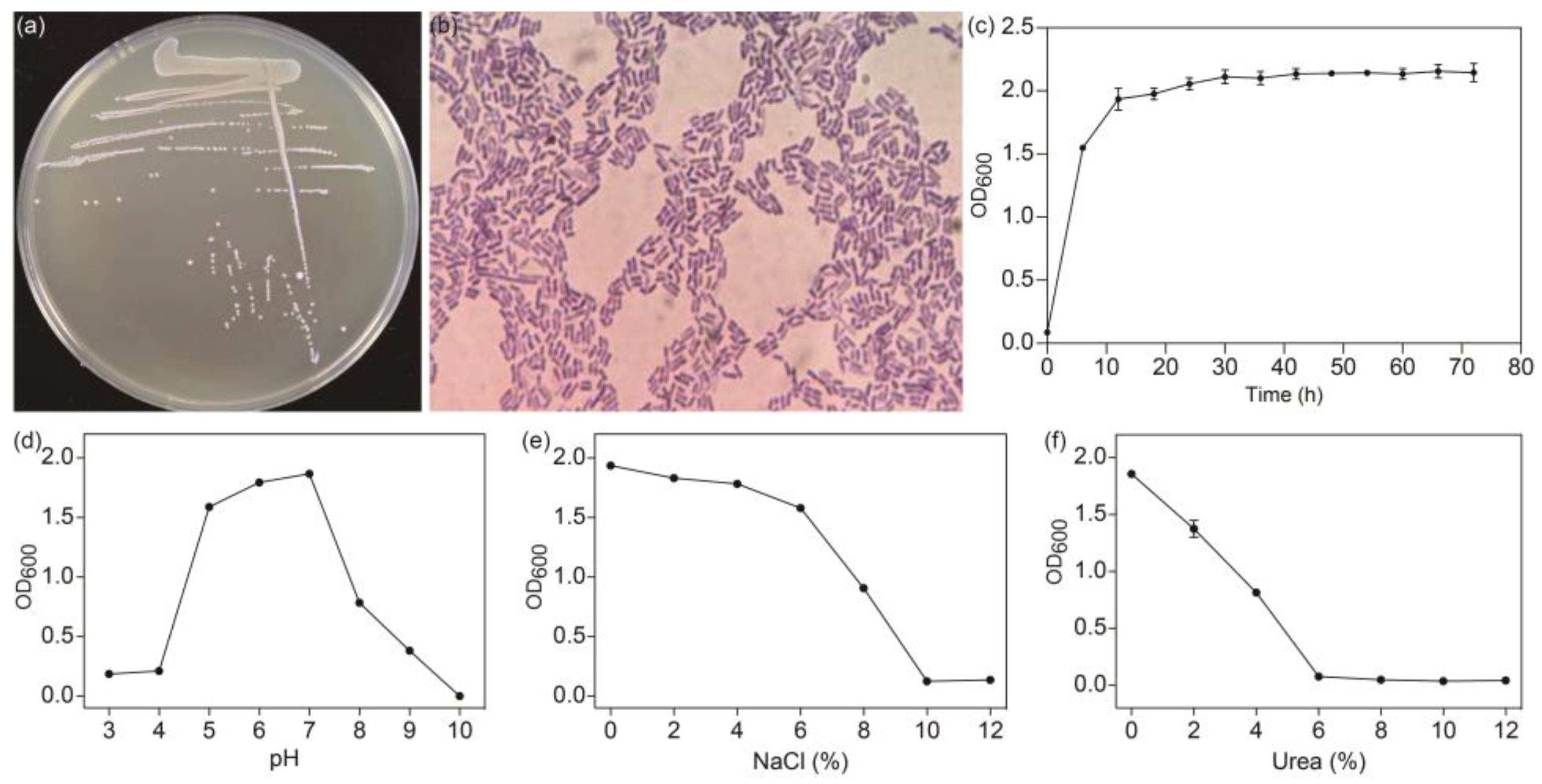 Ijms 25 07185 g001 Ijms 25 07185 g001