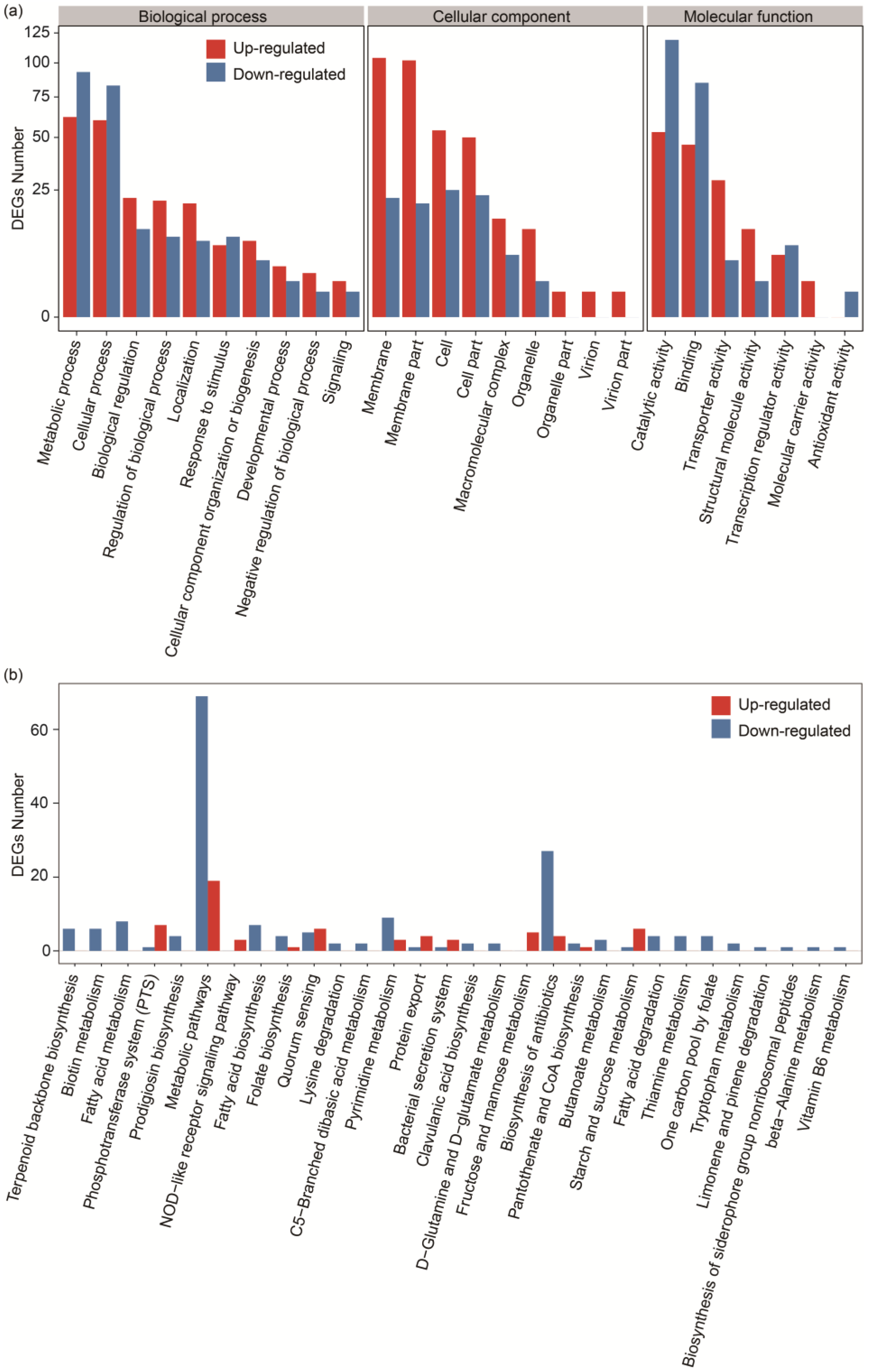 Ijms 25 07185 g004 Ijms 25 07185 g004
