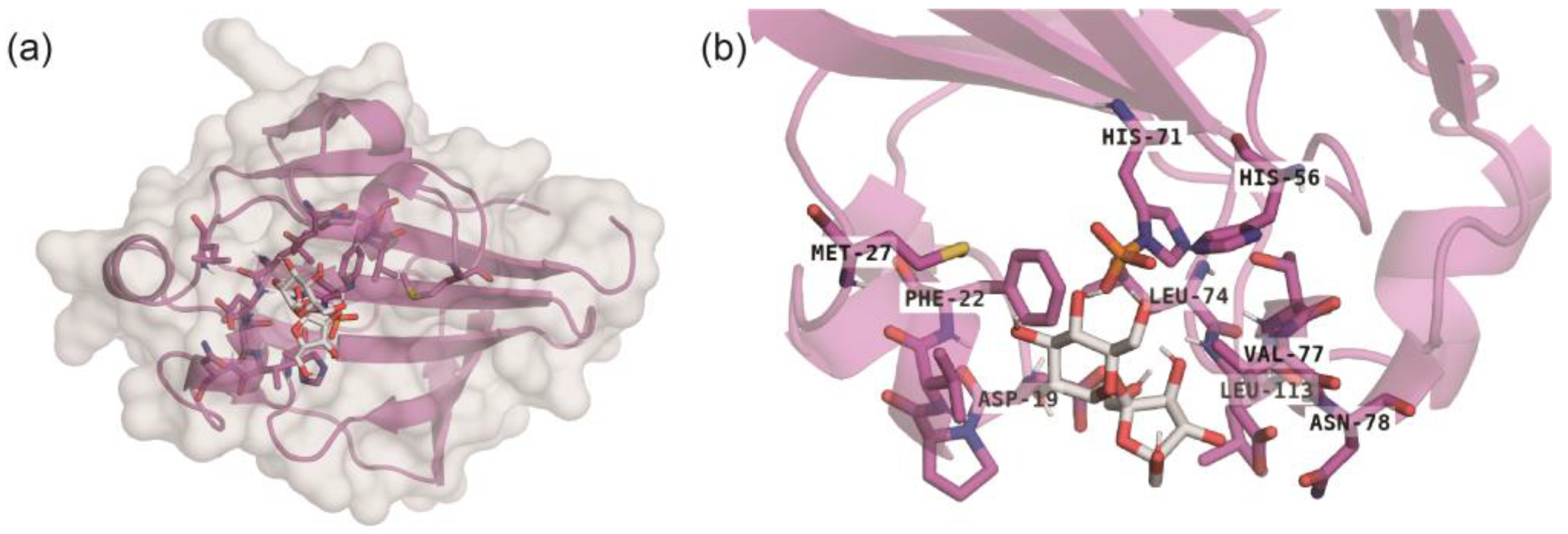 Ijms 25 07185 g006 Ijms 25 07185 g006