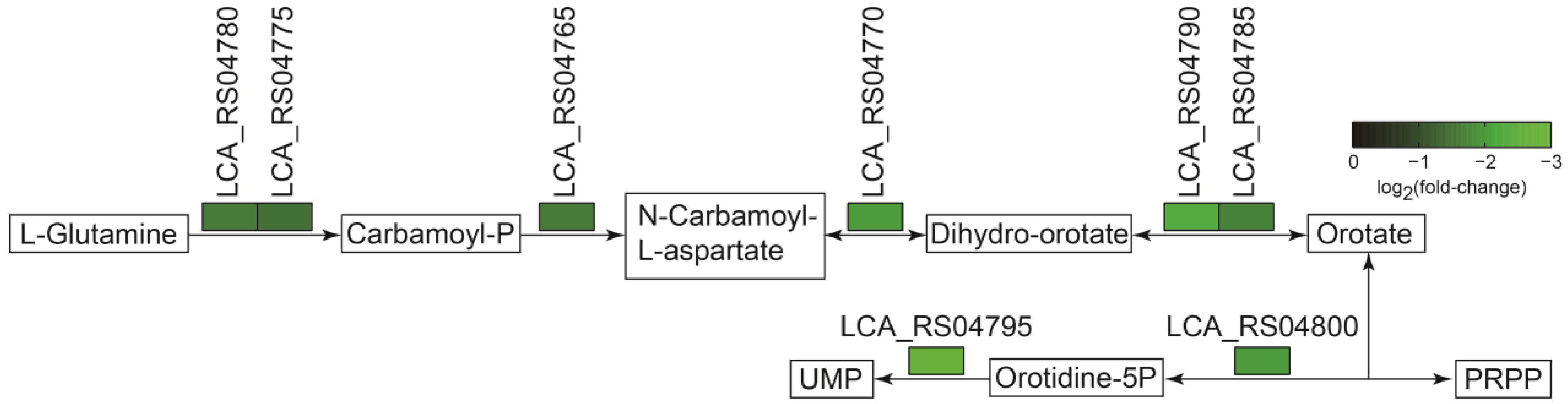 Ijms 25 07185 g007 Ijms 25 07185 g007