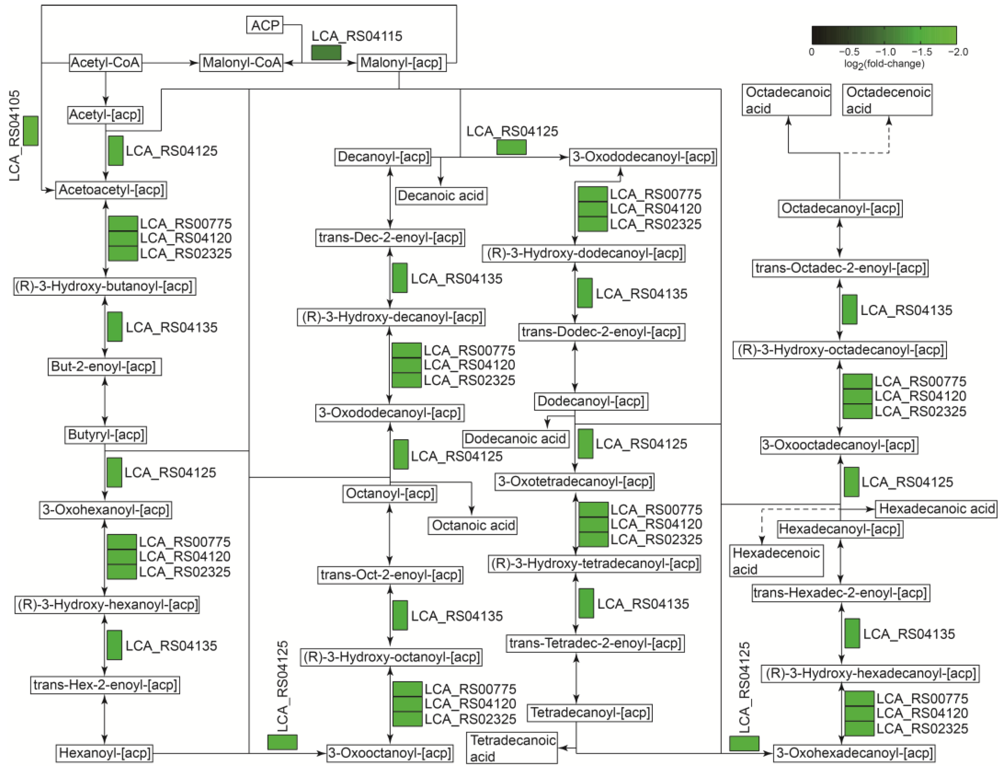 Ijms 25 07185 g008 Ijms 25 07185 g008