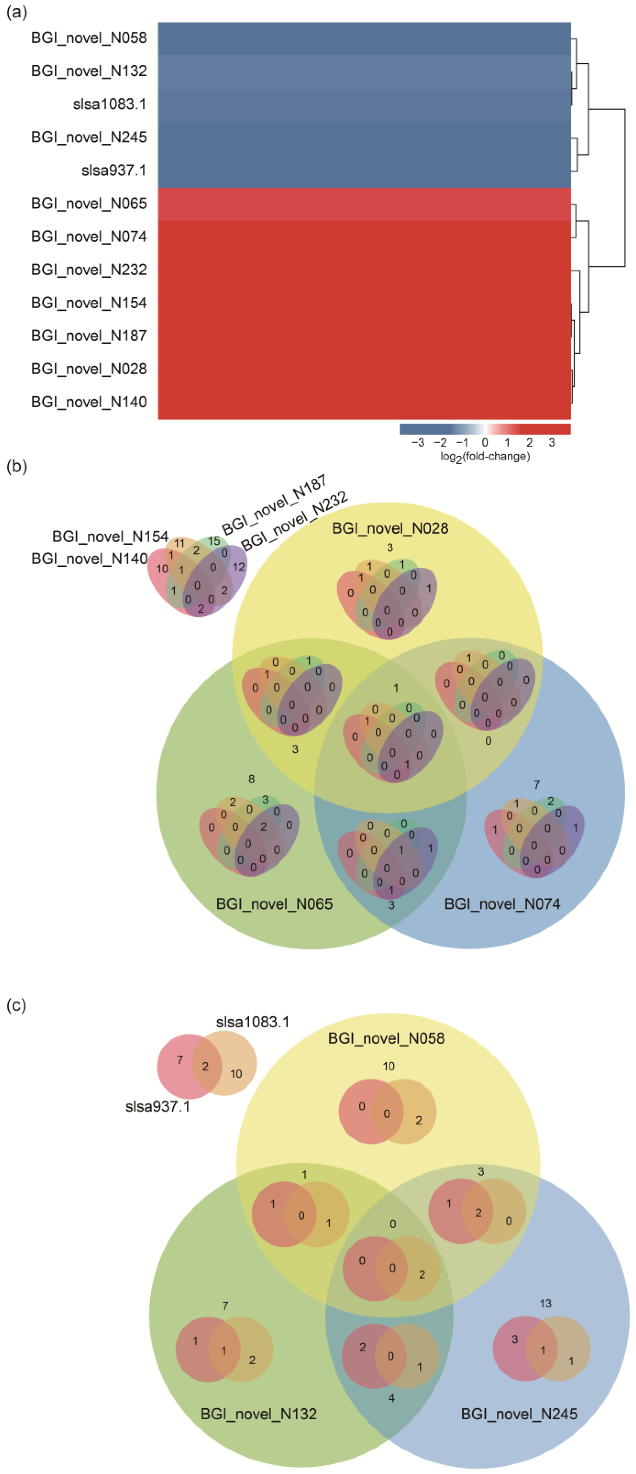 Ijms 25 07185 g009 Ijms 25 07185 g009