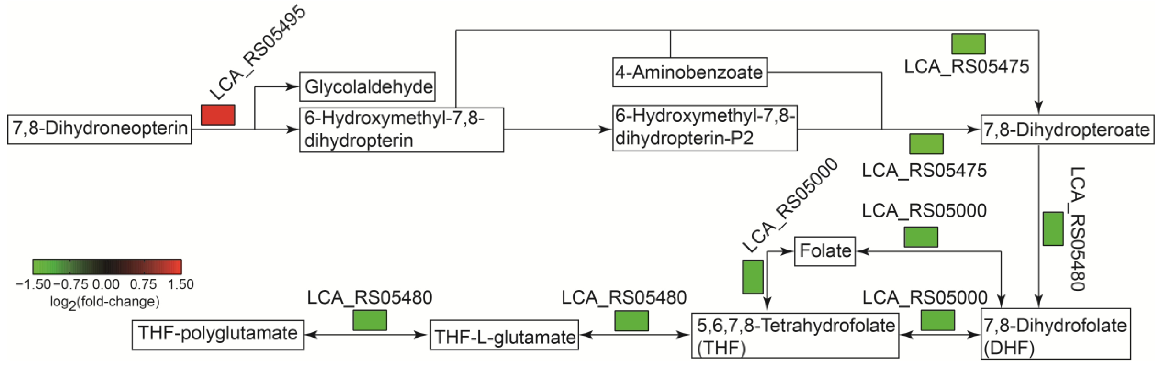 Ijms 25 07185 g010 Ijms 25 07185 g010