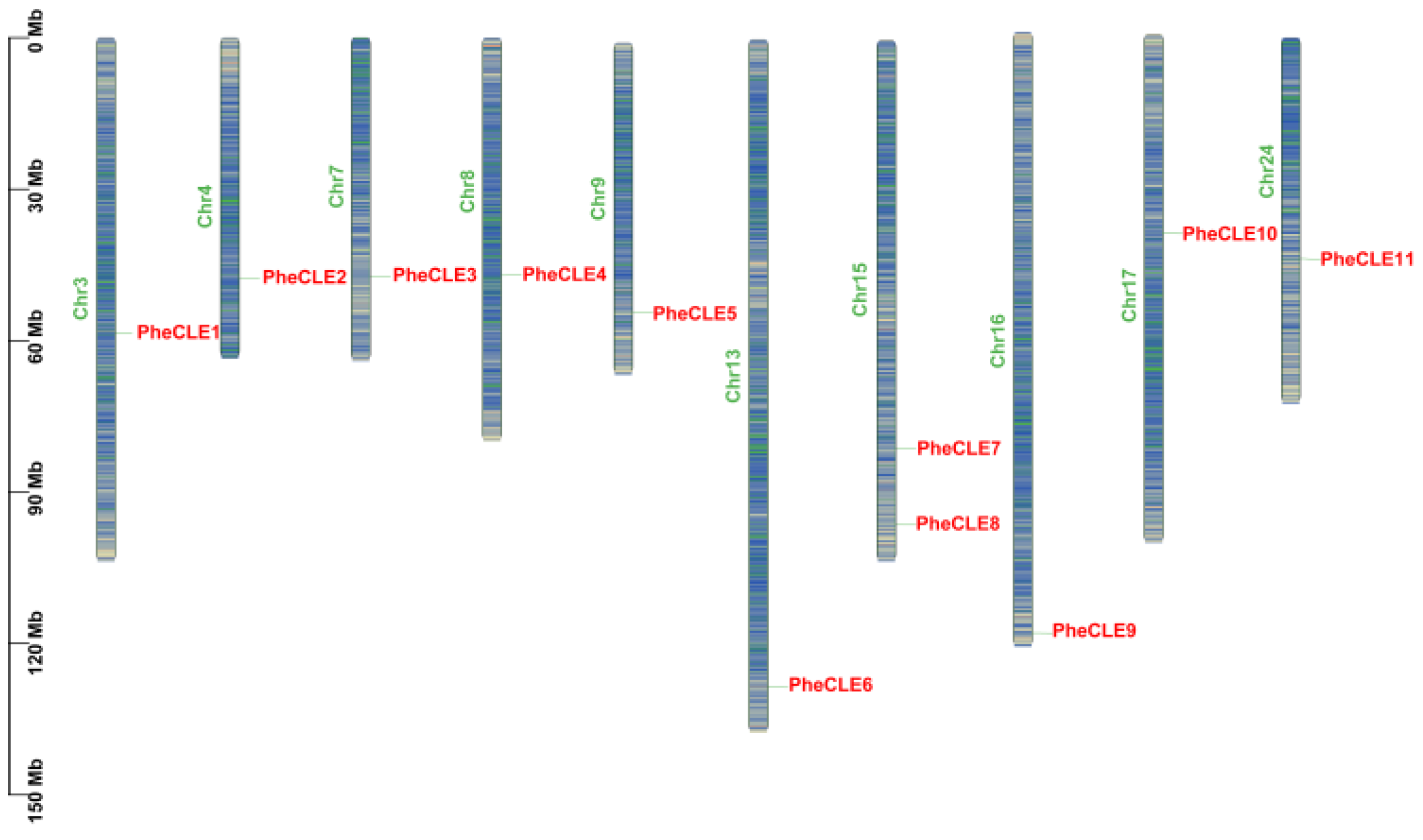 Ijms 25 07190 g001 Ijms 25 07190 g001