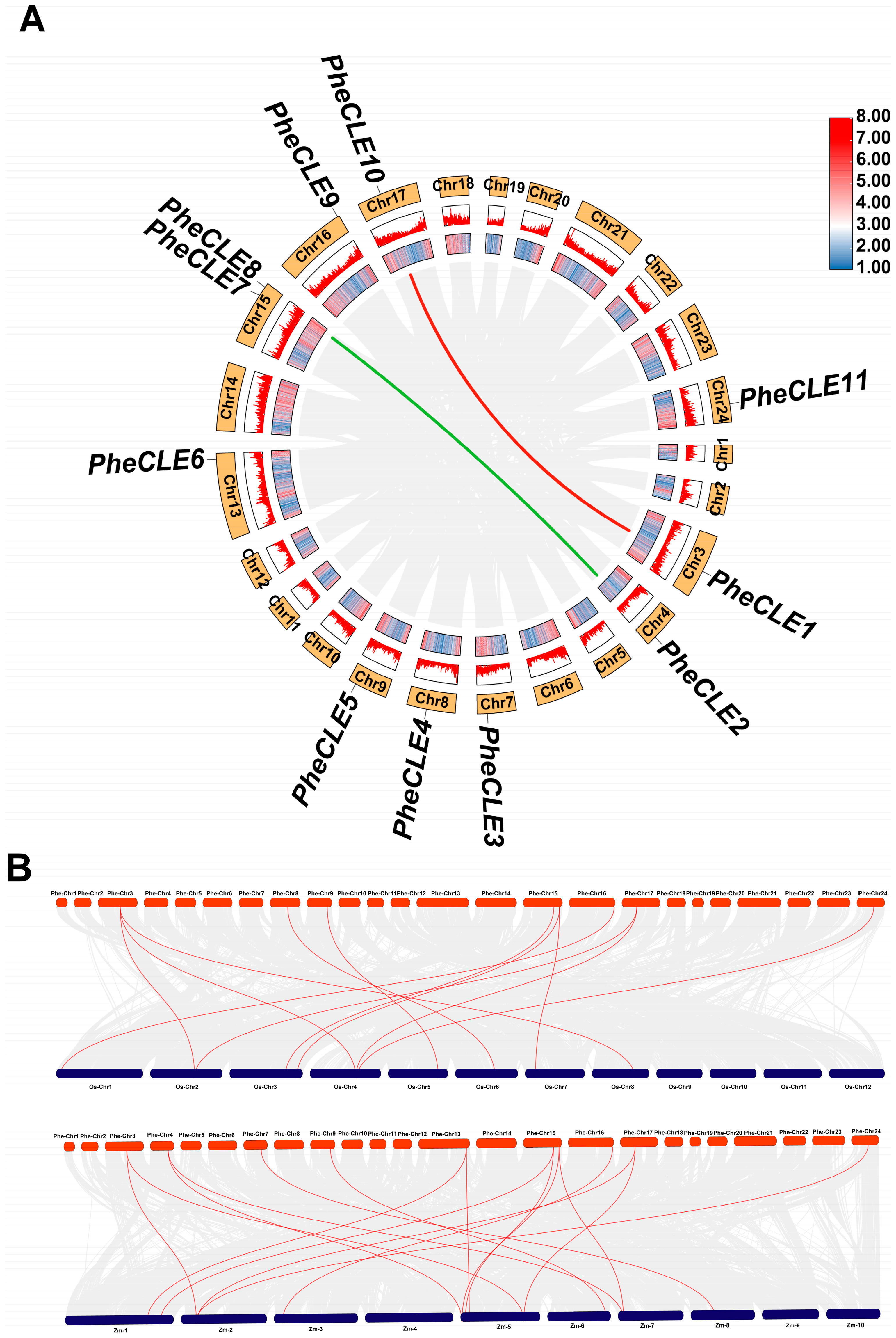 Ijms 25 07190 g004 Ijms 25 07190 g004