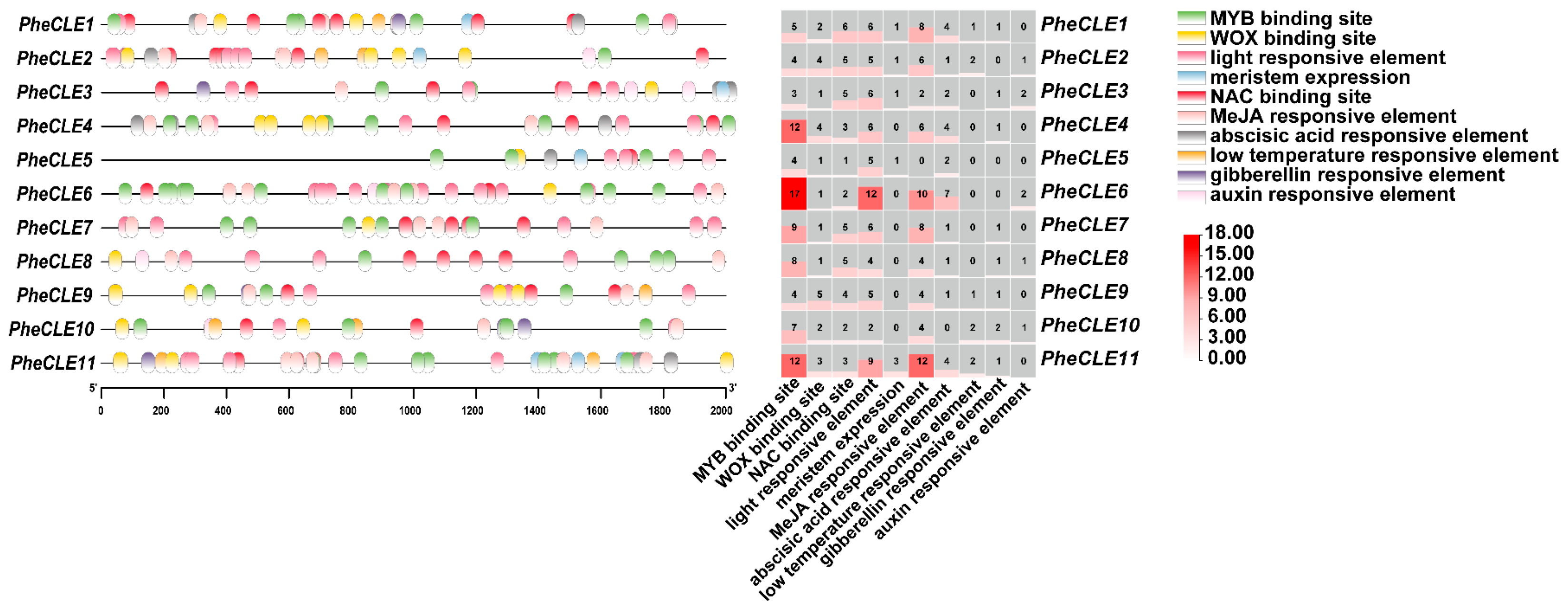 Ijms 25 07190 g005 Ijms 25 07190 g005