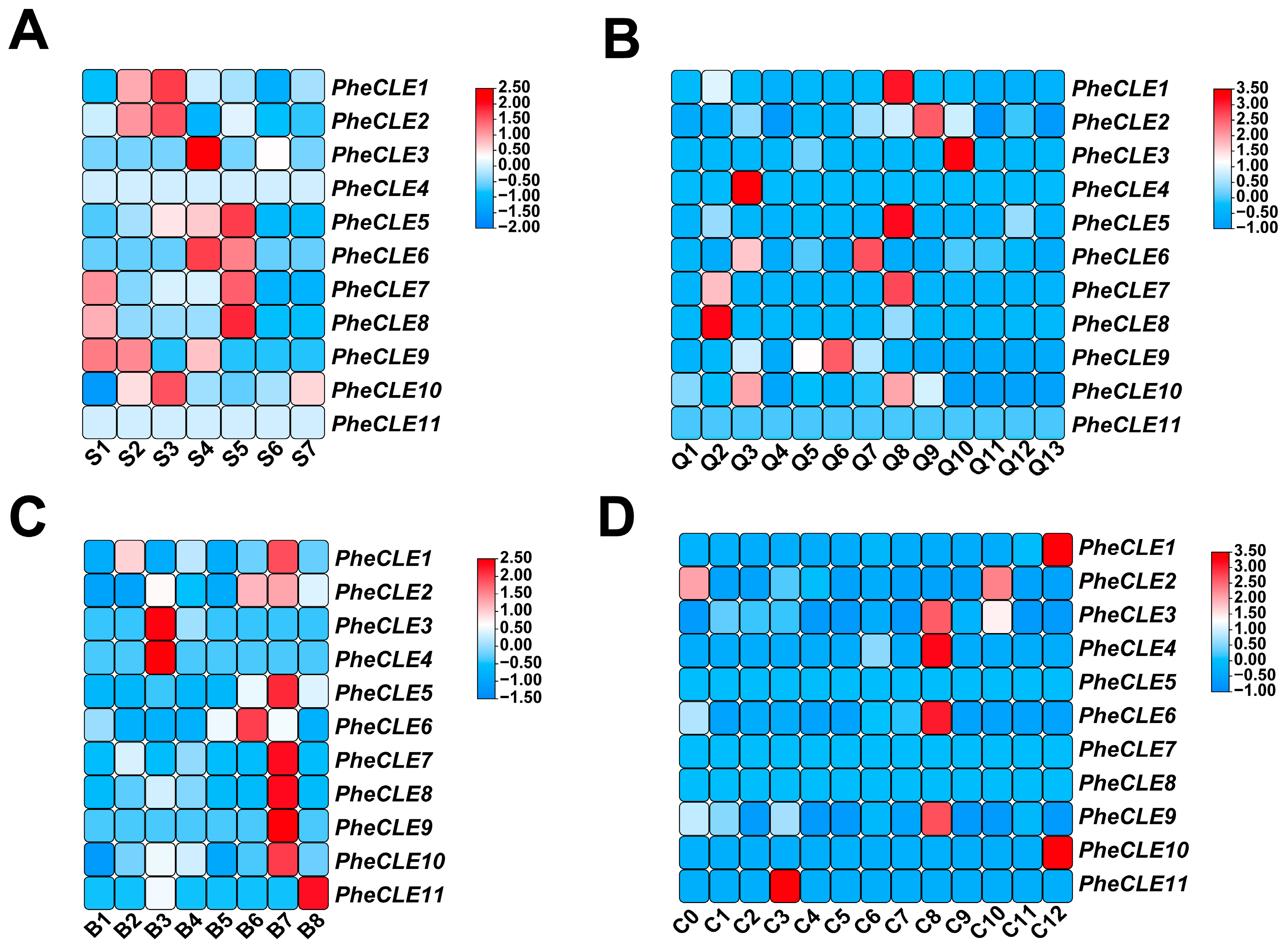 Ijms 25 07190 g006 Ijms 25 07190 g006