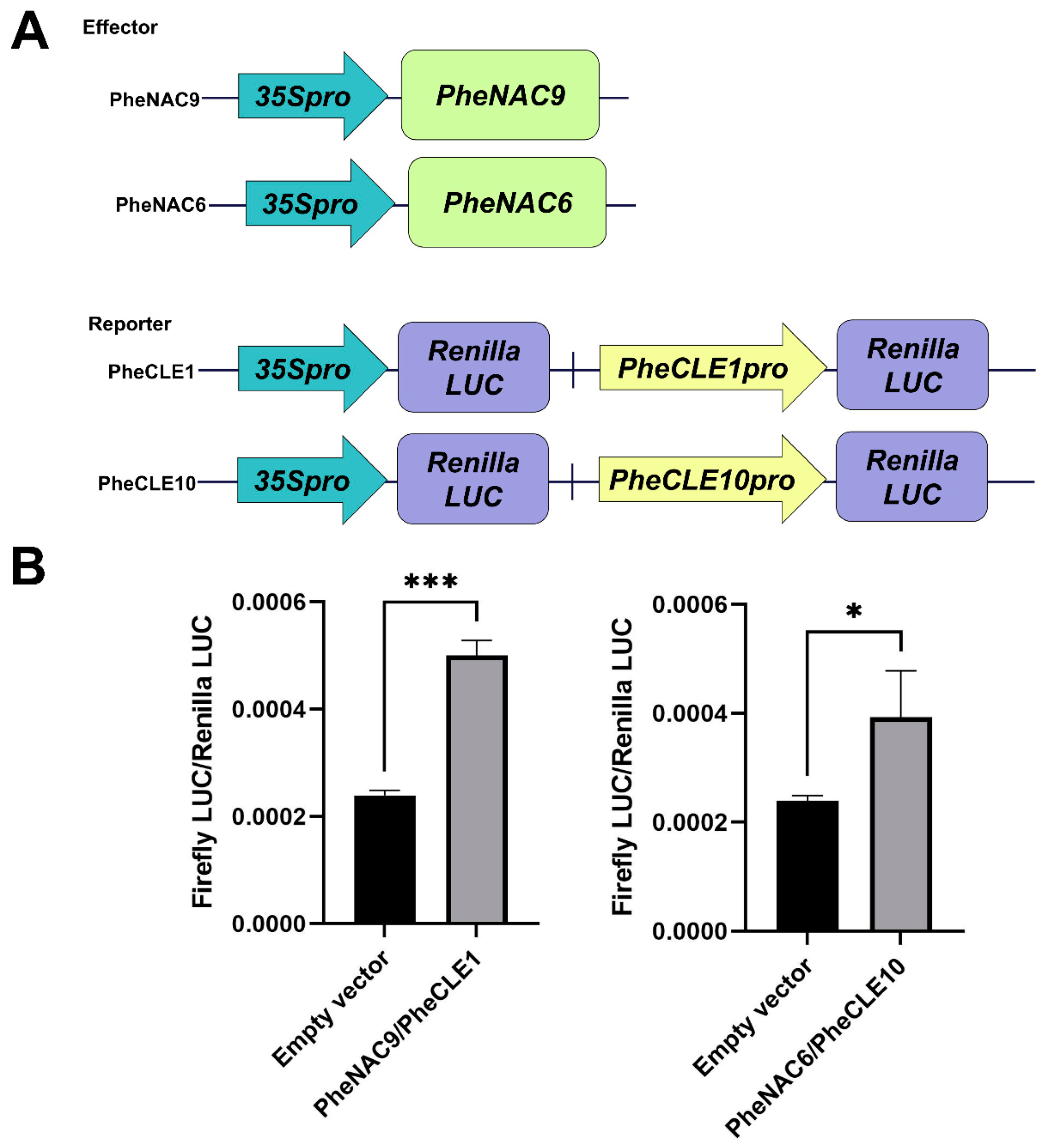 Ijms 25 07190 g010 Ijms 25 07190 g010