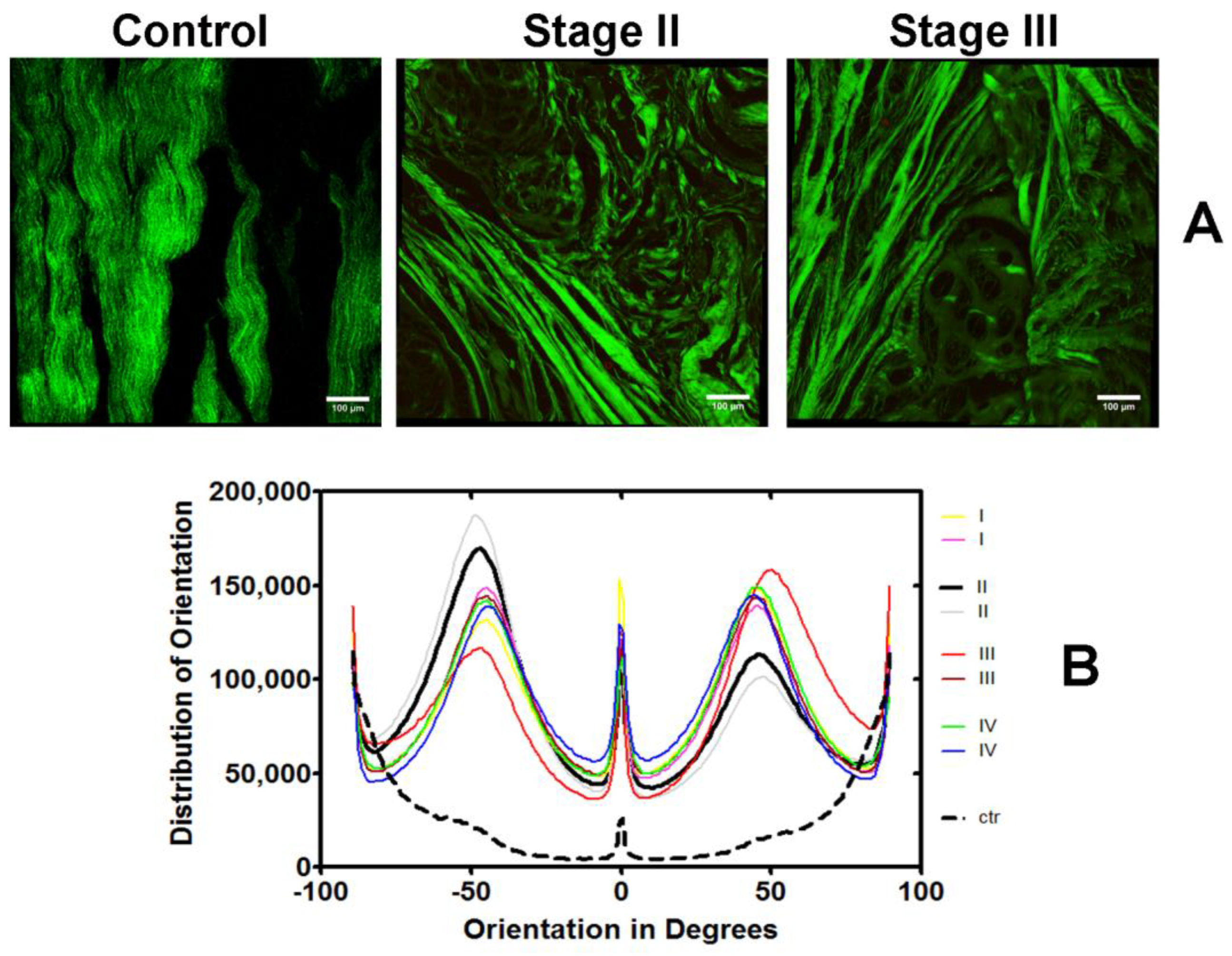 Ijms 25 07192 g006 Ijms 25 07192 g006