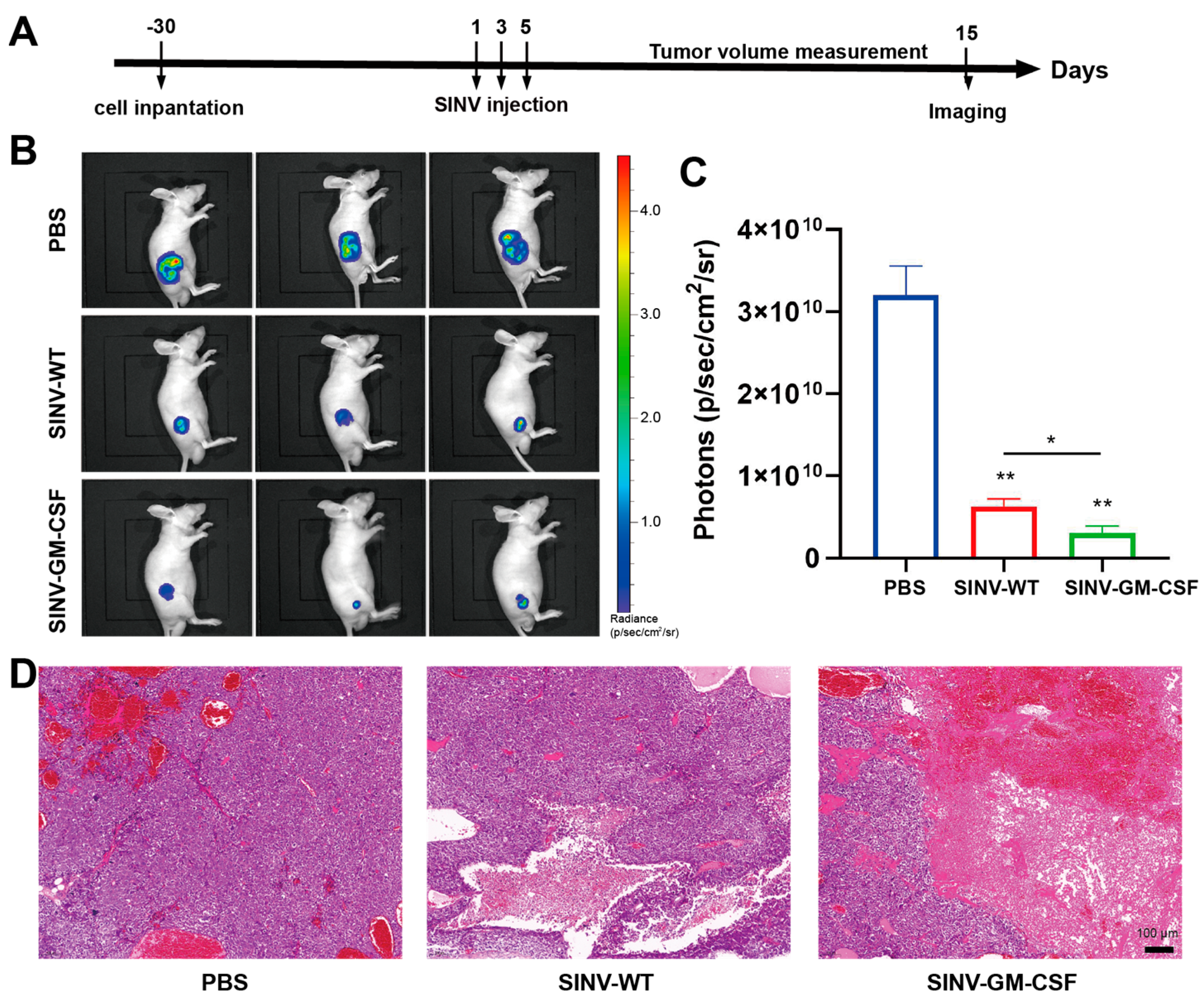 Ijms 25 07195 g003 Ijms 25 07195 g003