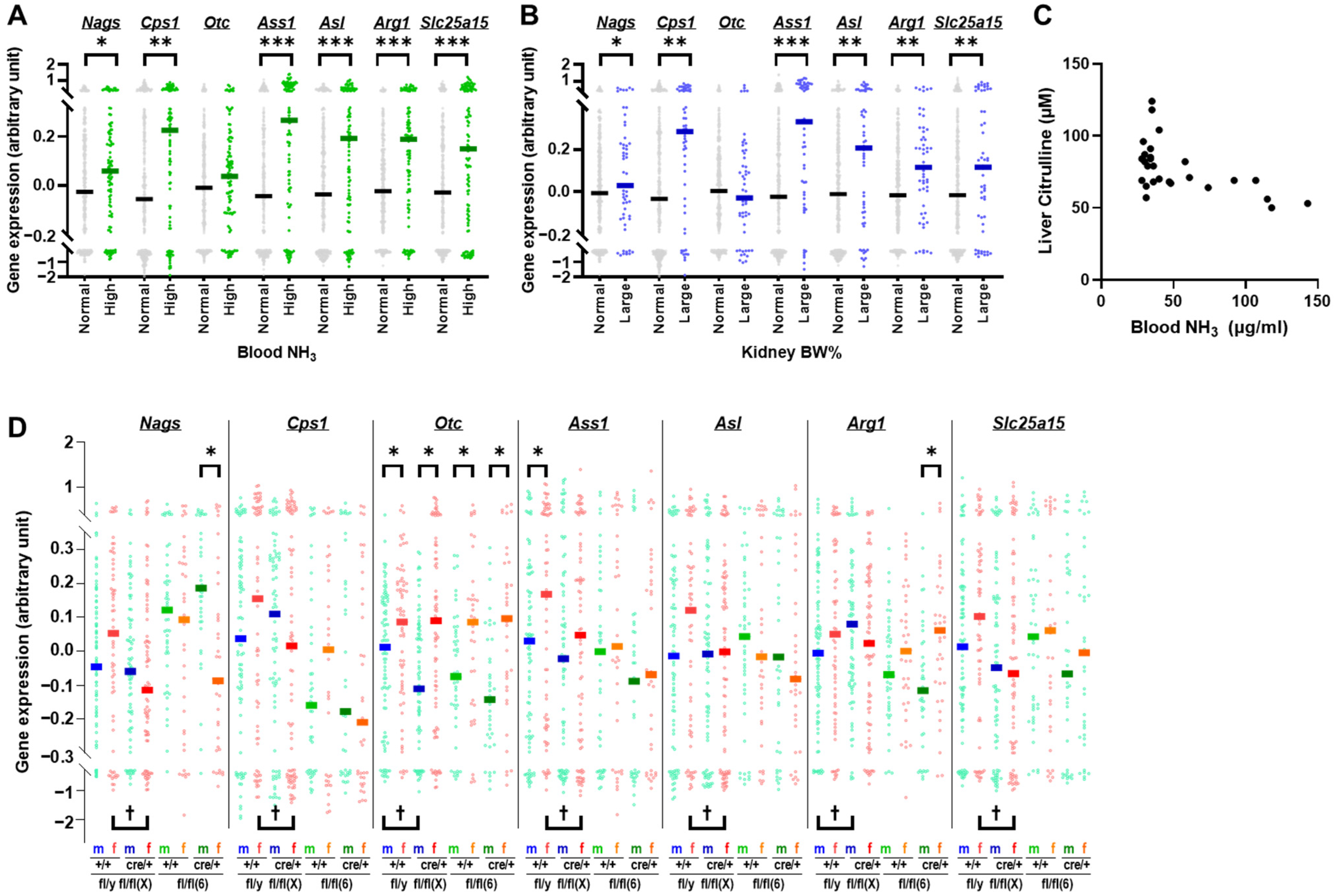 Ijms 25 07203 g005 Ijms 25 07203 g005