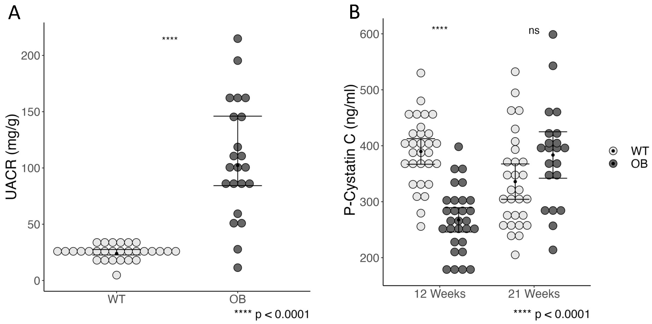 Ijms 25 07204 g002 Ijms 25 07204 g002