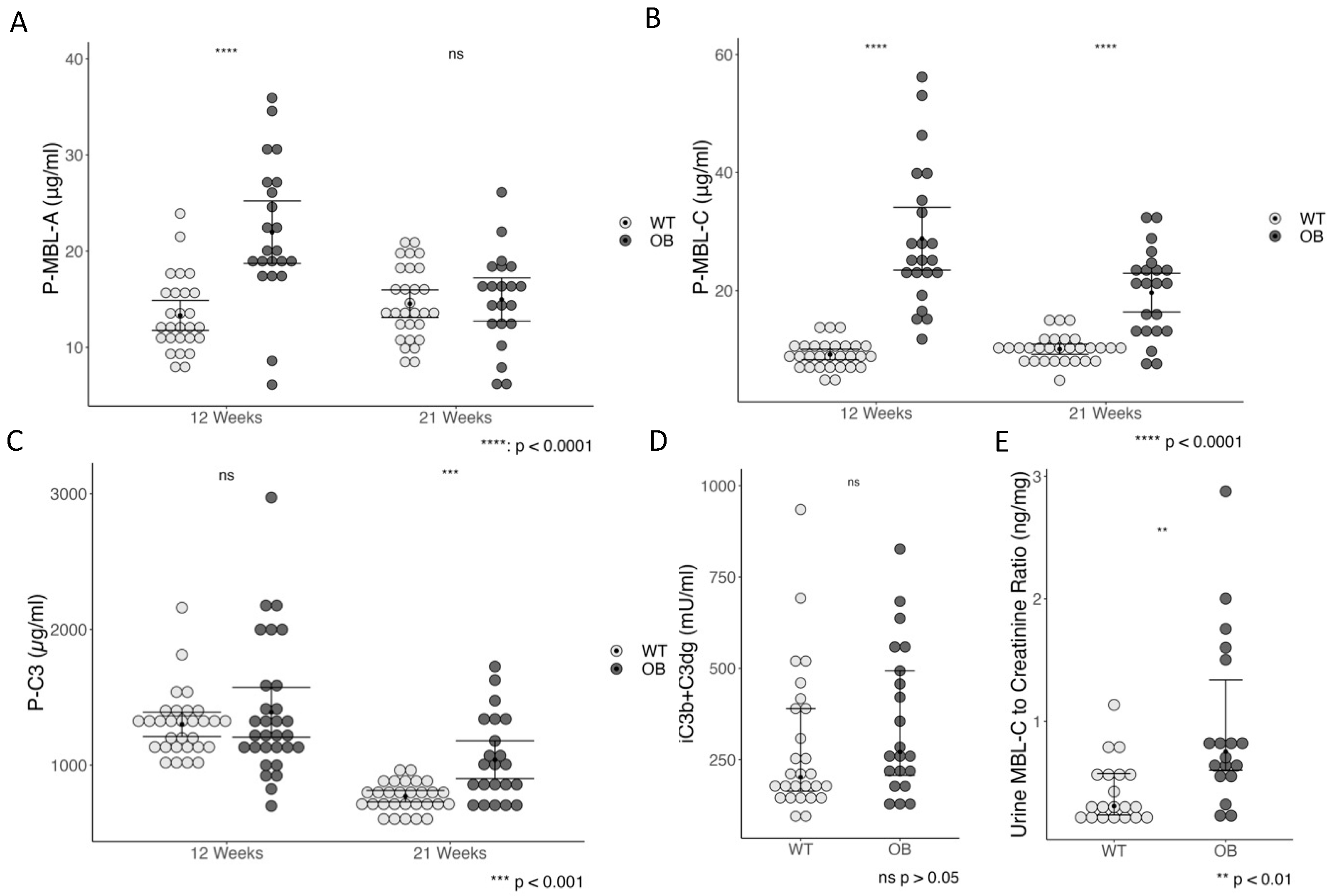 Ijms 25 07204 g005 Ijms 25 07204 g005