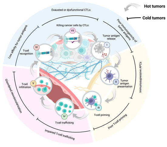 Breast Cancer Treatment Strategies Targeting the Tumor Microenvironment ...
