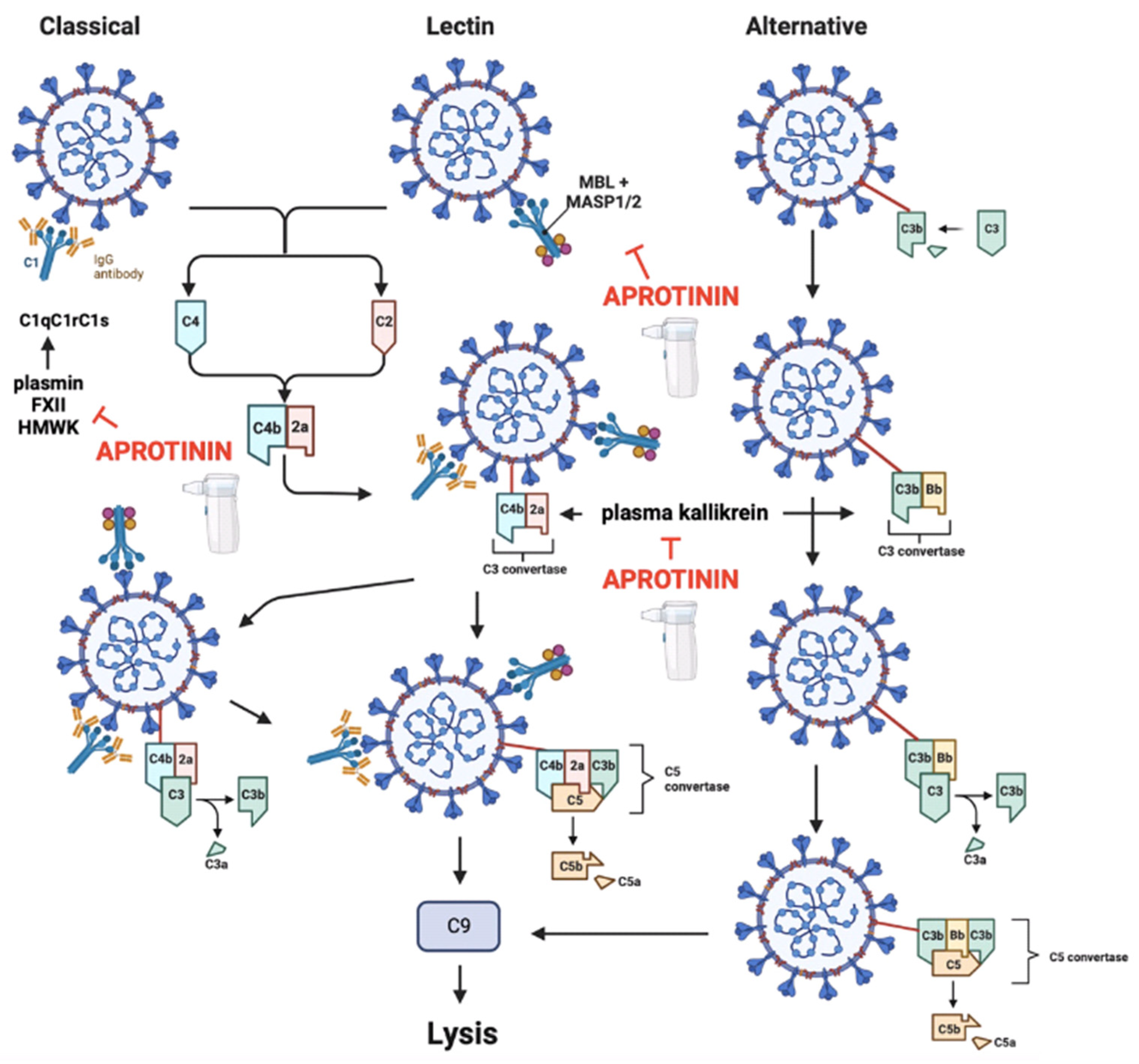 Ijms 25 07209 g003 Ijms 25 07209 g003