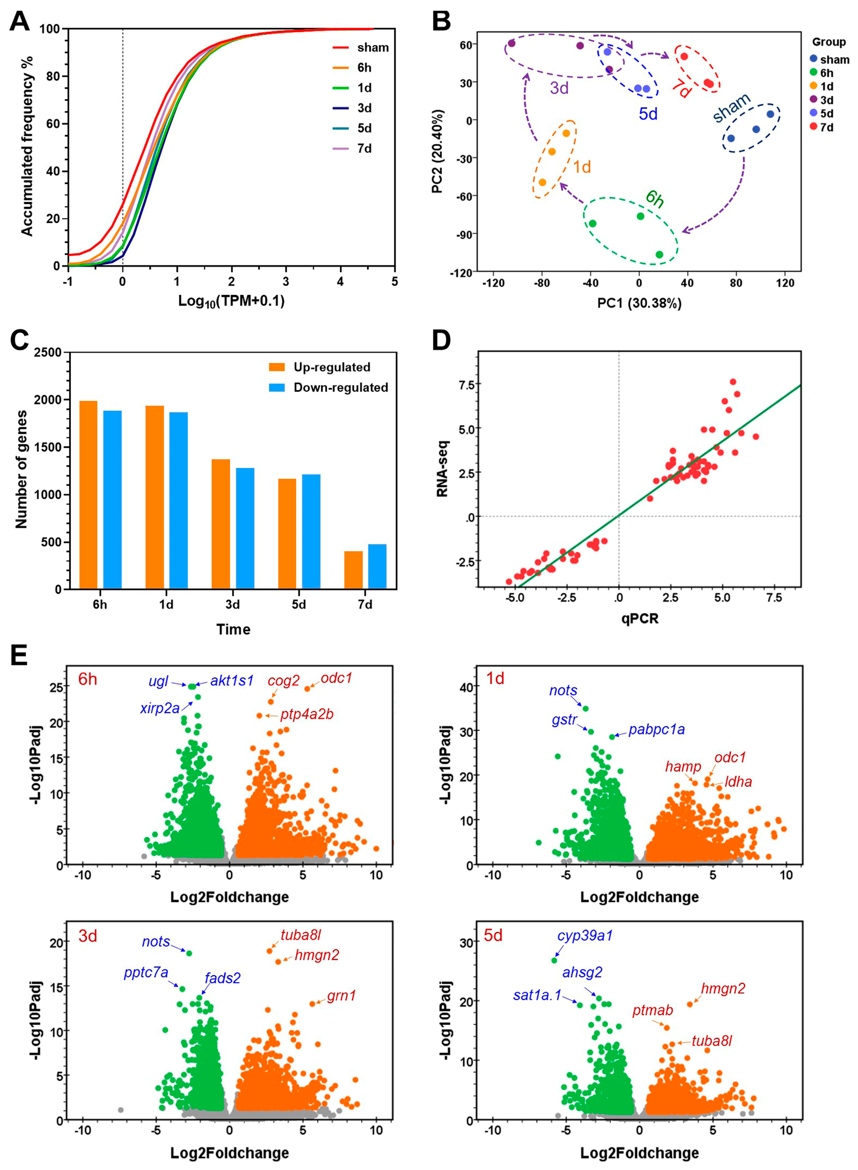 Ijms 25 07212 g002 Ijms 25 07212 g002