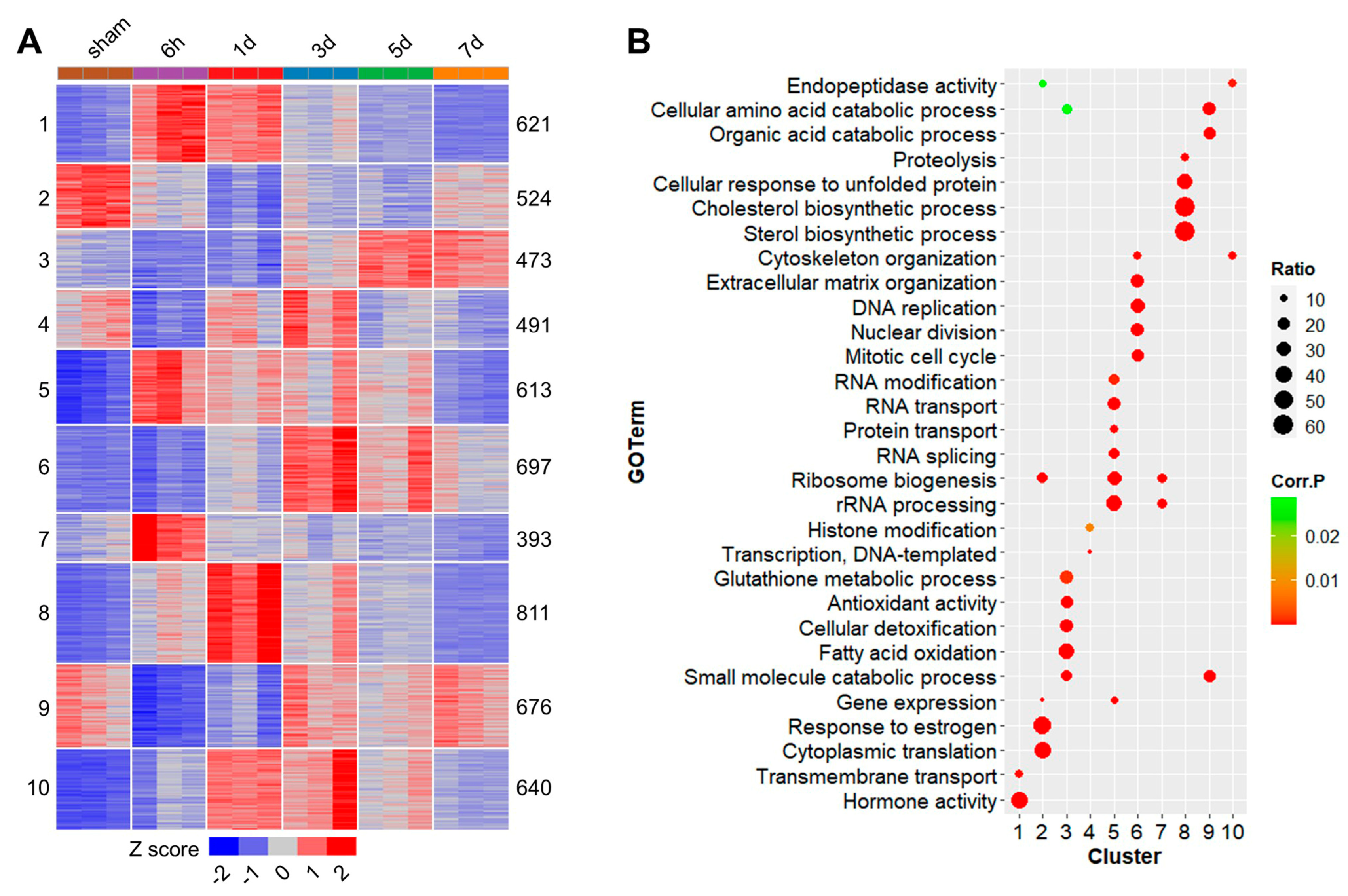 Ijms 25 07212 g003 Ijms 25 07212 g003
