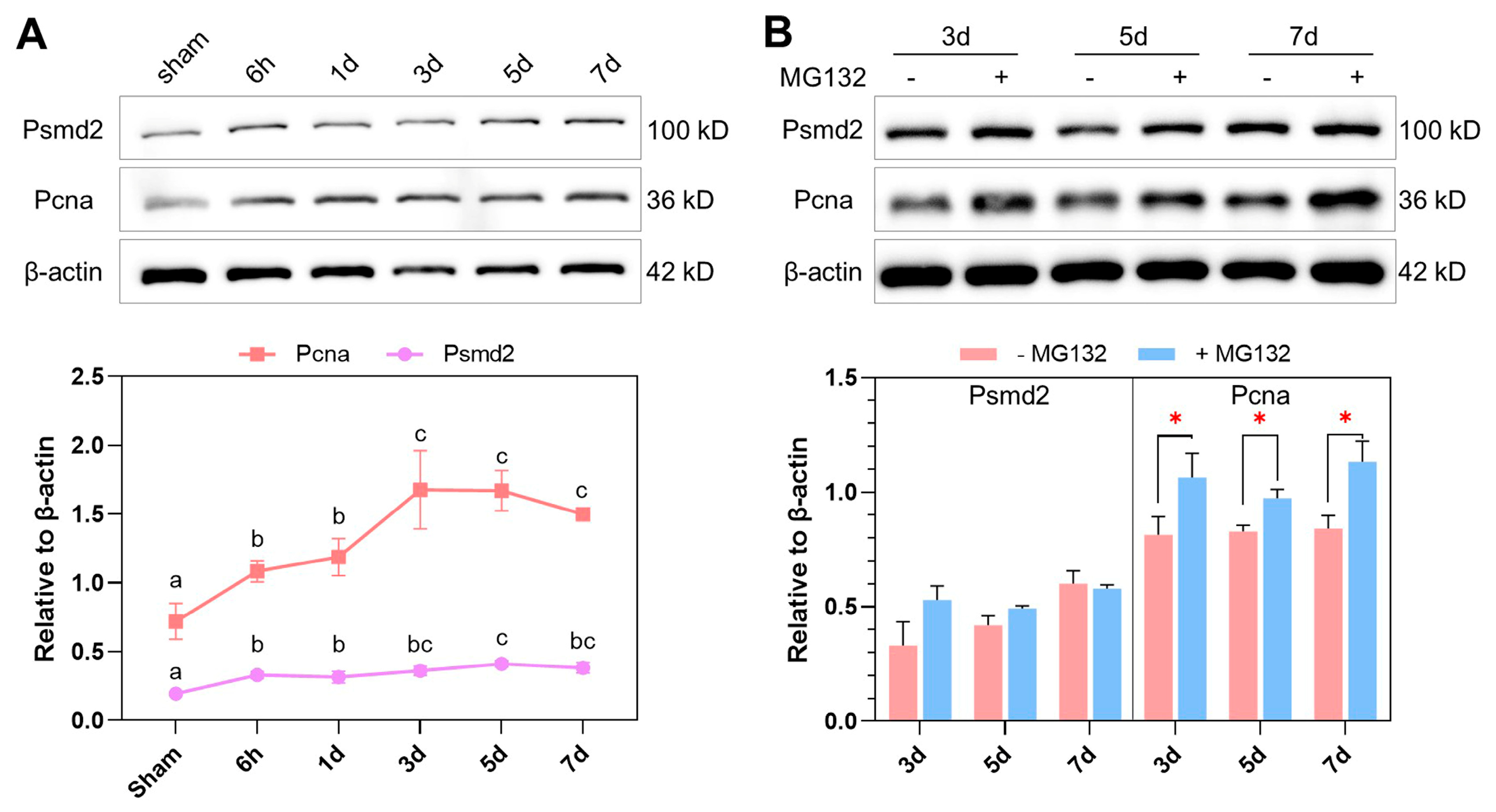 Ijms 25 07212 g005 Ijms 25 07212 g005
