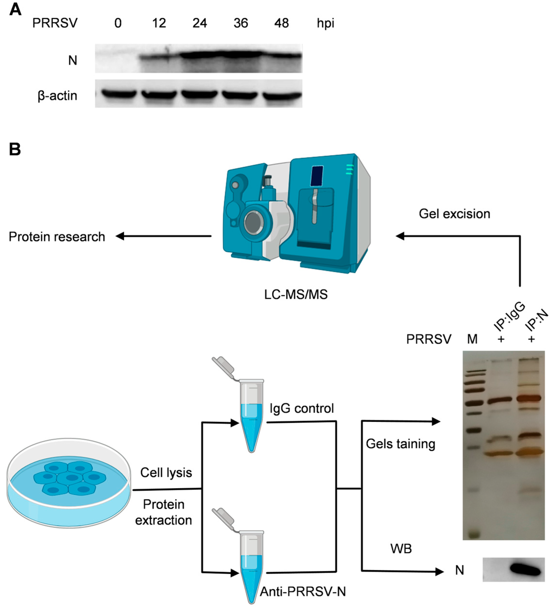 Ijms 25 07219 g001 Ijms 25 07219 g001