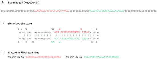 The Role of miR-137 in Neurodegenerative Disorders The Role of miR-137 in Neurodegenerative Disorders