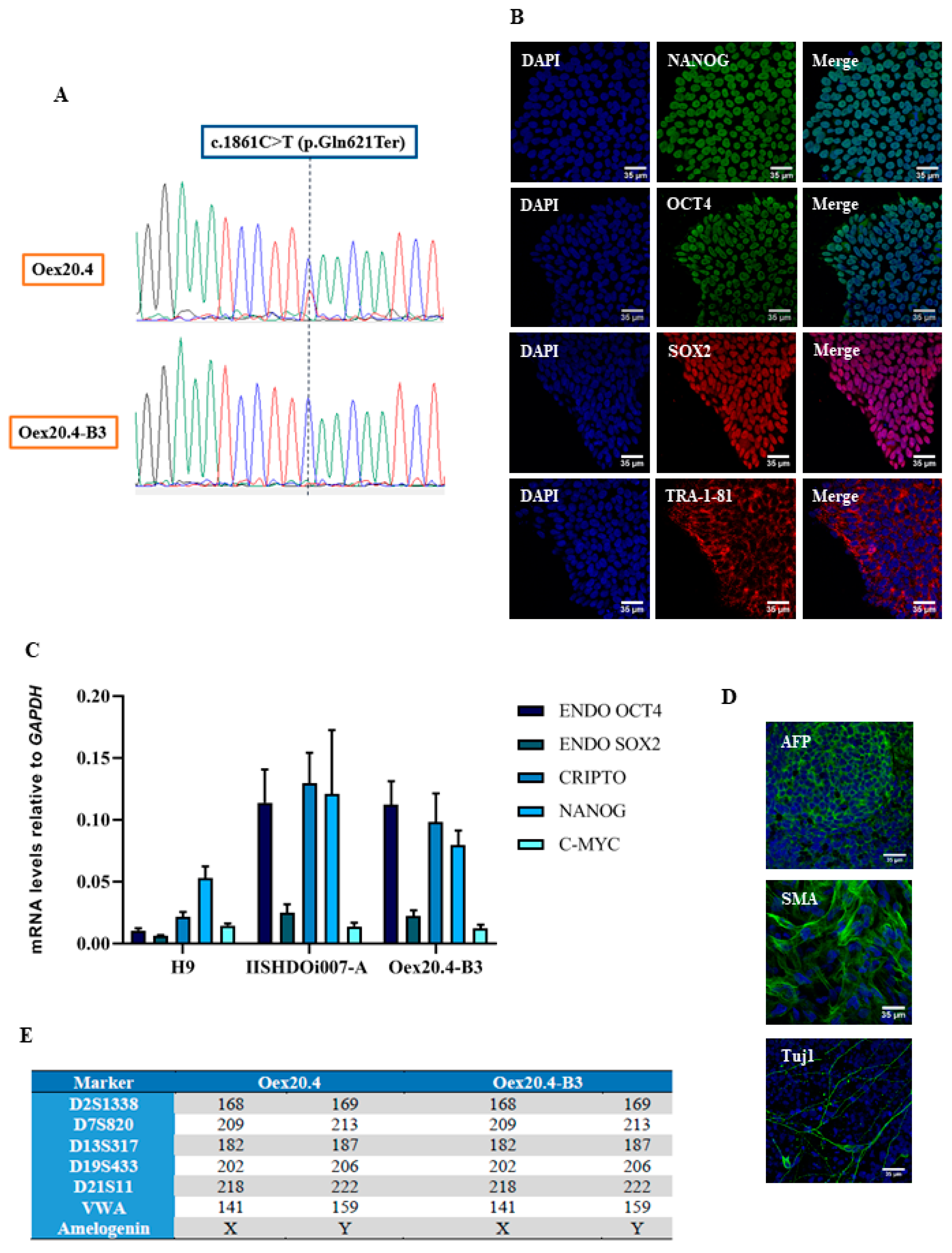 Ijms 25 07240 g001 Ijms 25 07240 g001