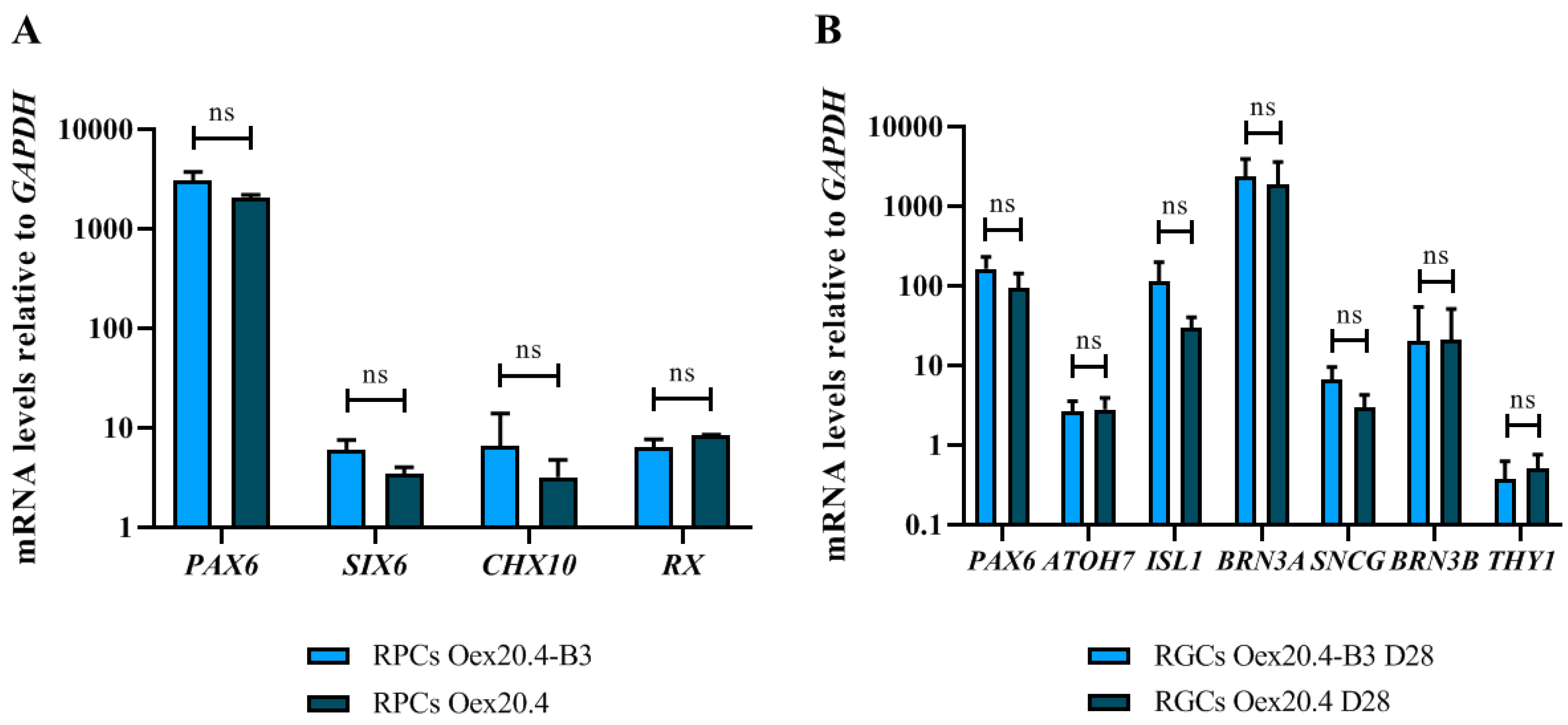 Ijms 25 07240 g003 Ijms 25 07240 g003