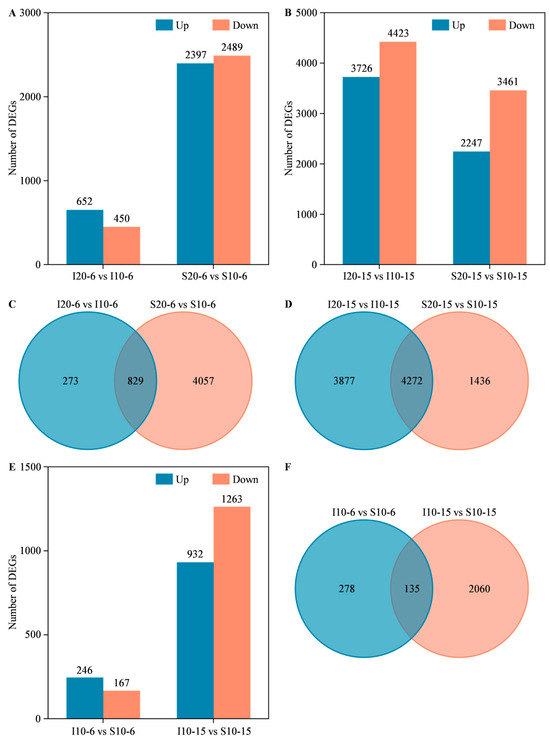 Comparative Phenotypic and Transcriptomic Analyses Provide