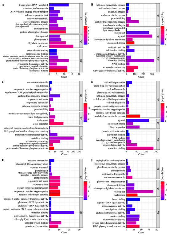 Comparative Phenotypic and Transcriptomic Analyses Provide