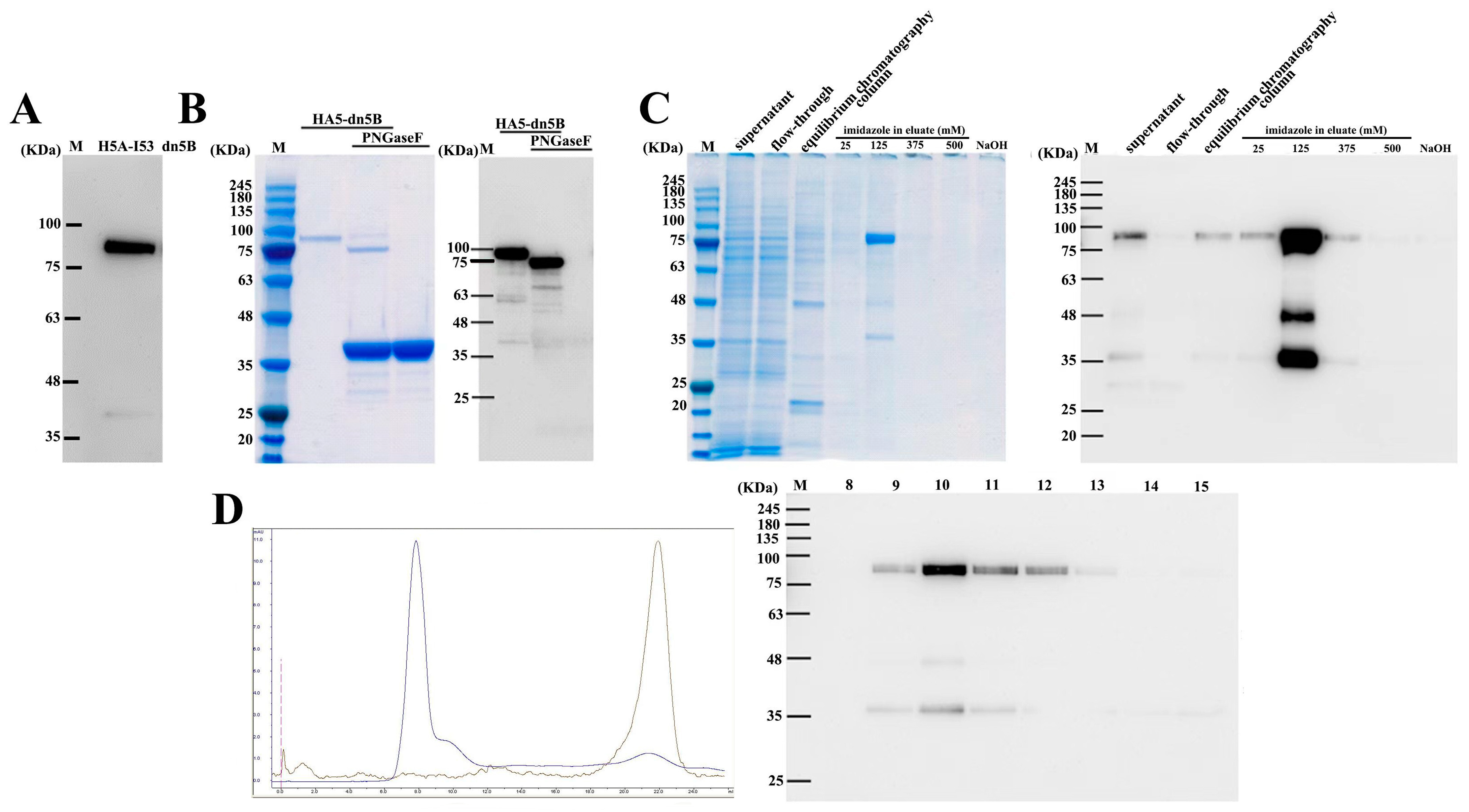 Ijms 25 07259 g004 Ijms 25 07259 g004