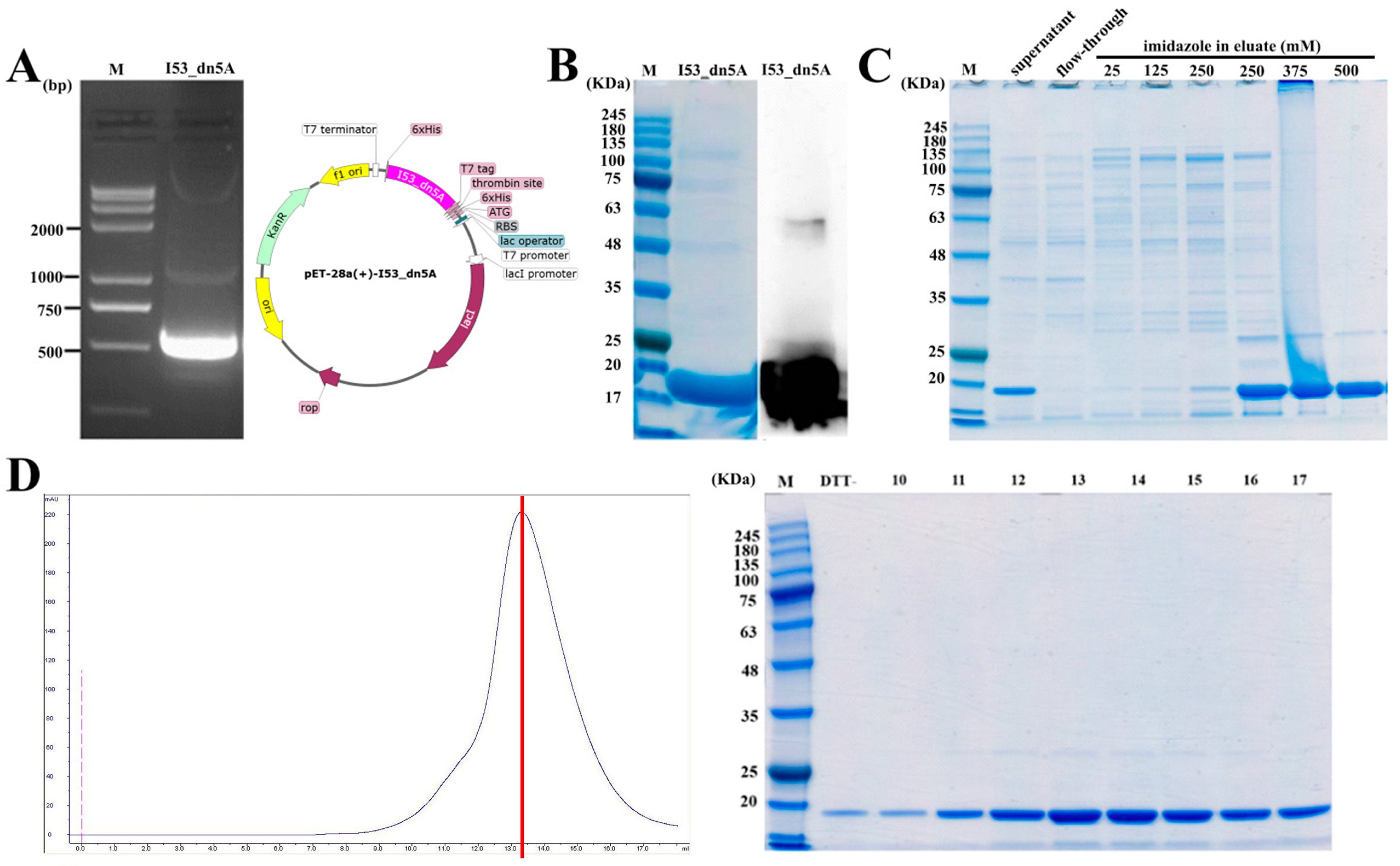 Ijms 25 07259 g005 Ijms 25 07259 g005