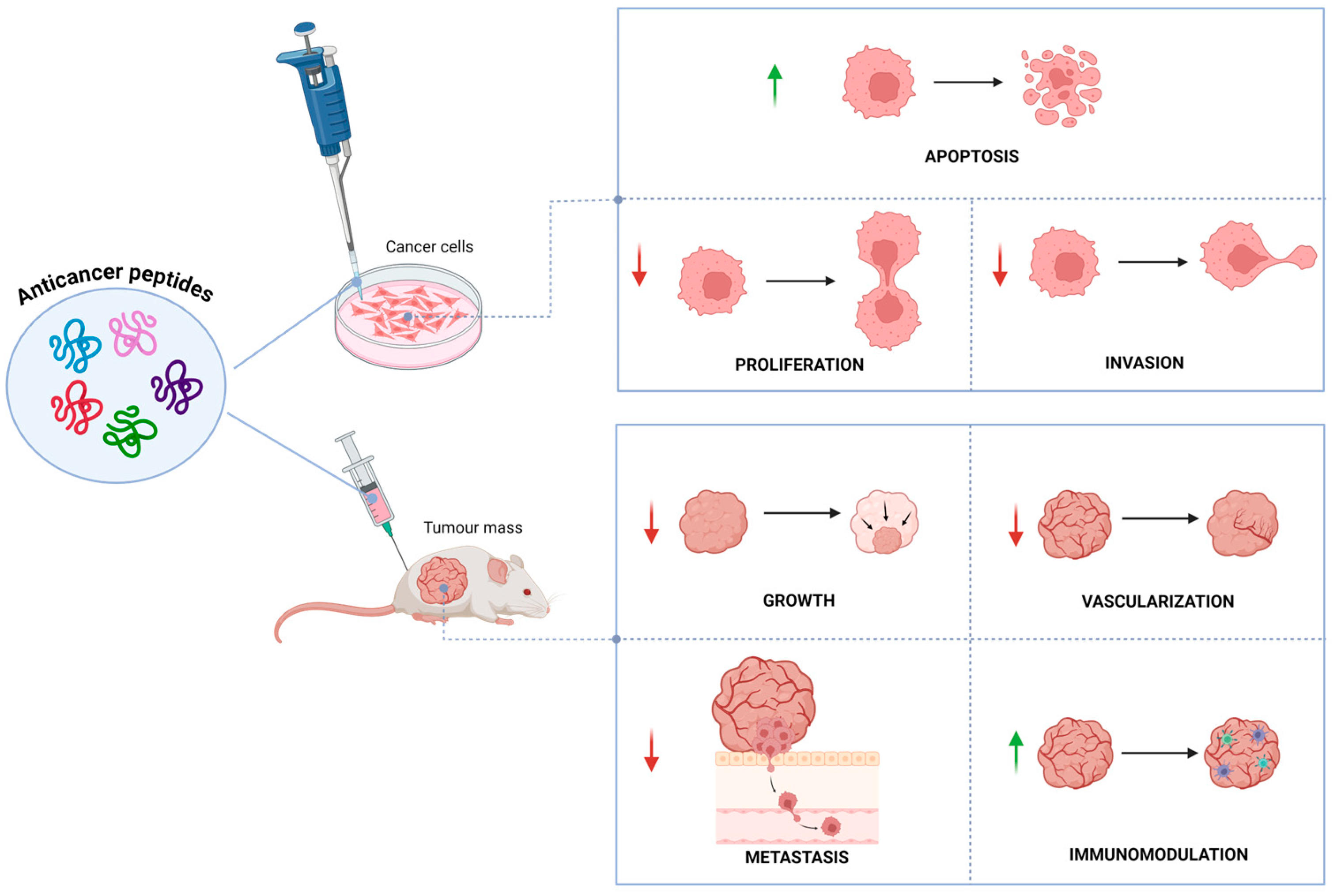 Ijms 25 07264 g001 Ijms 25 07264 g001