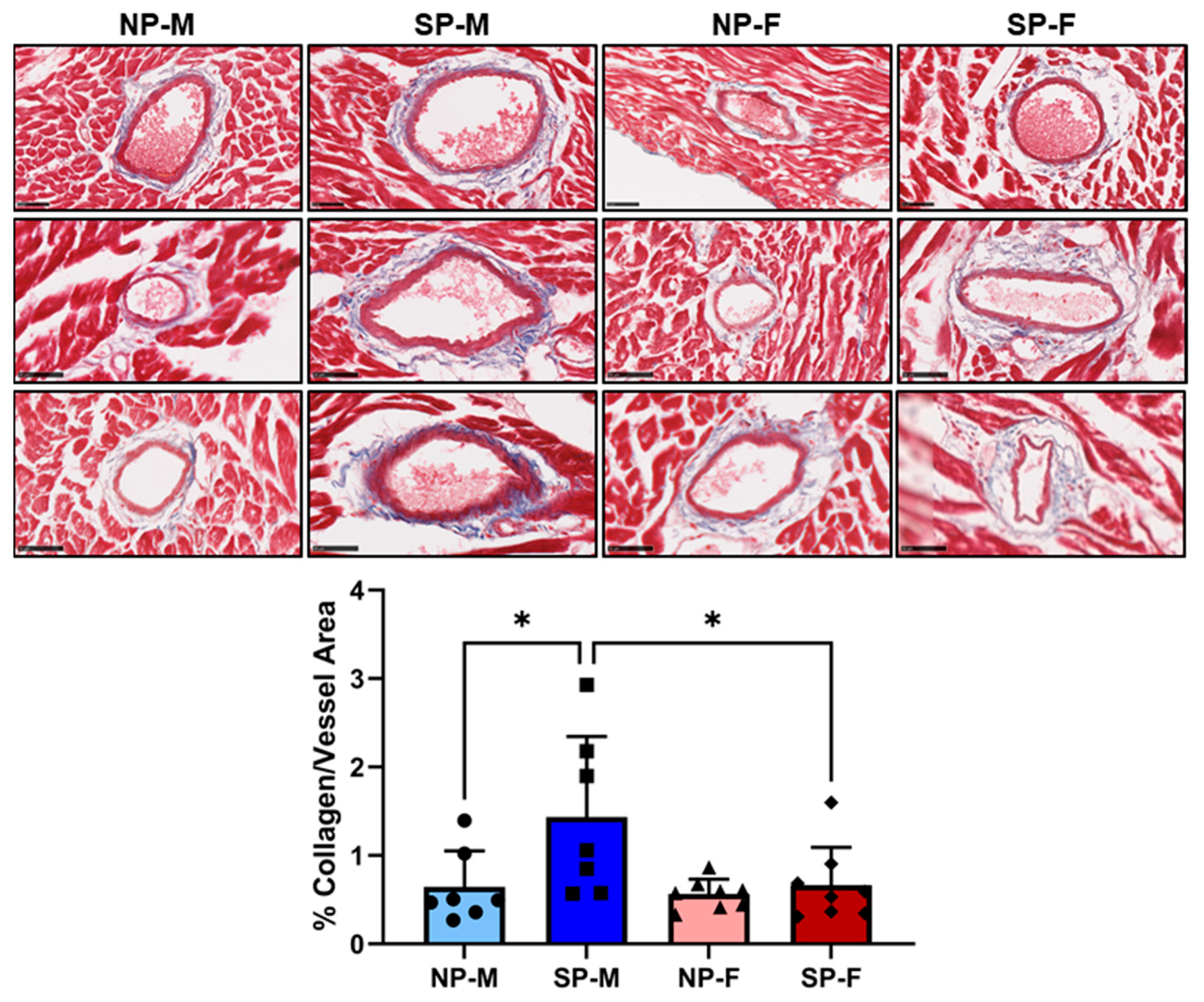 Ijms 25 07265 g002 Ijms 25 07265 g002